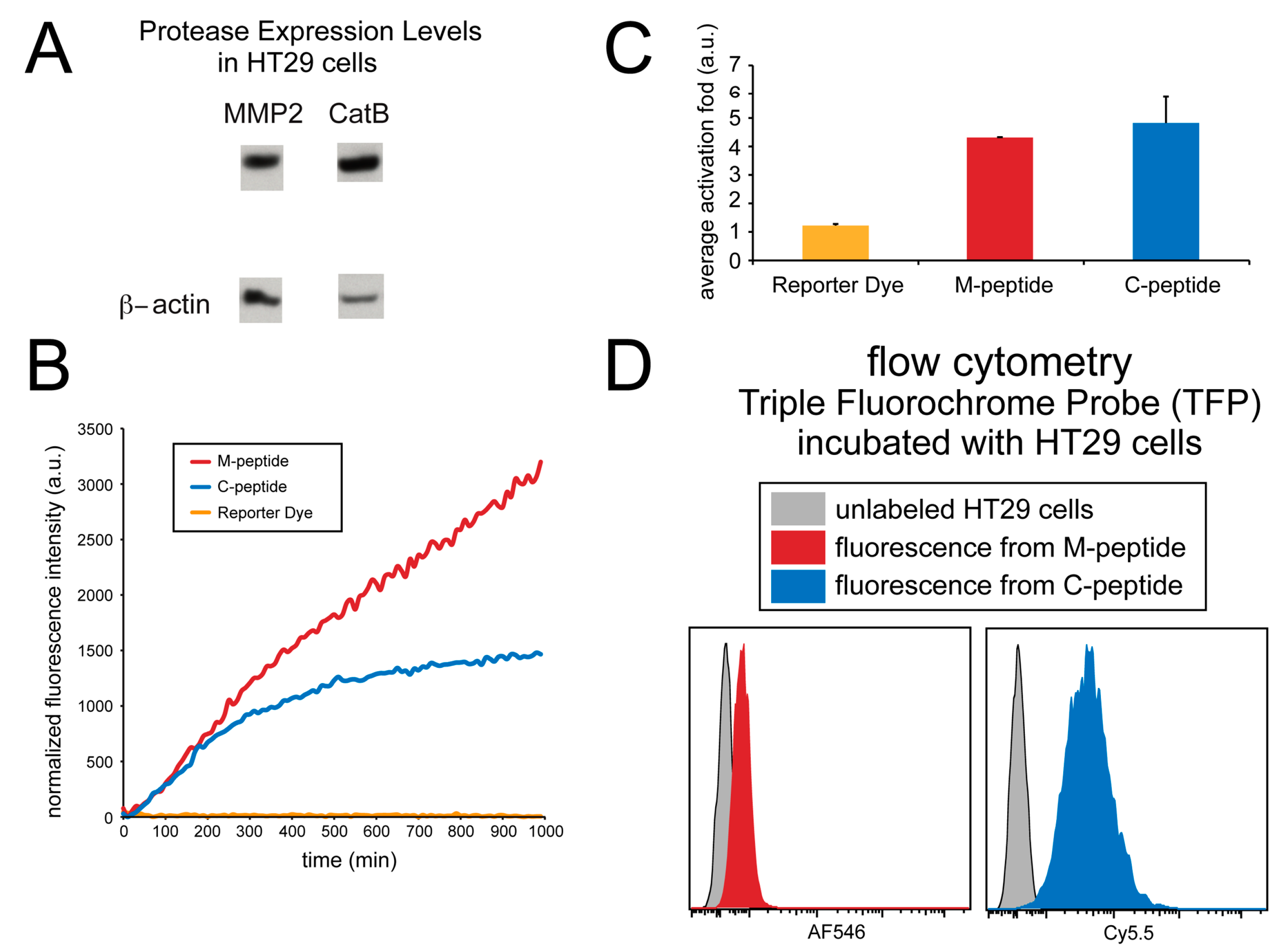 Ijms 21 03068 g005 Ijms 21 03068 g005