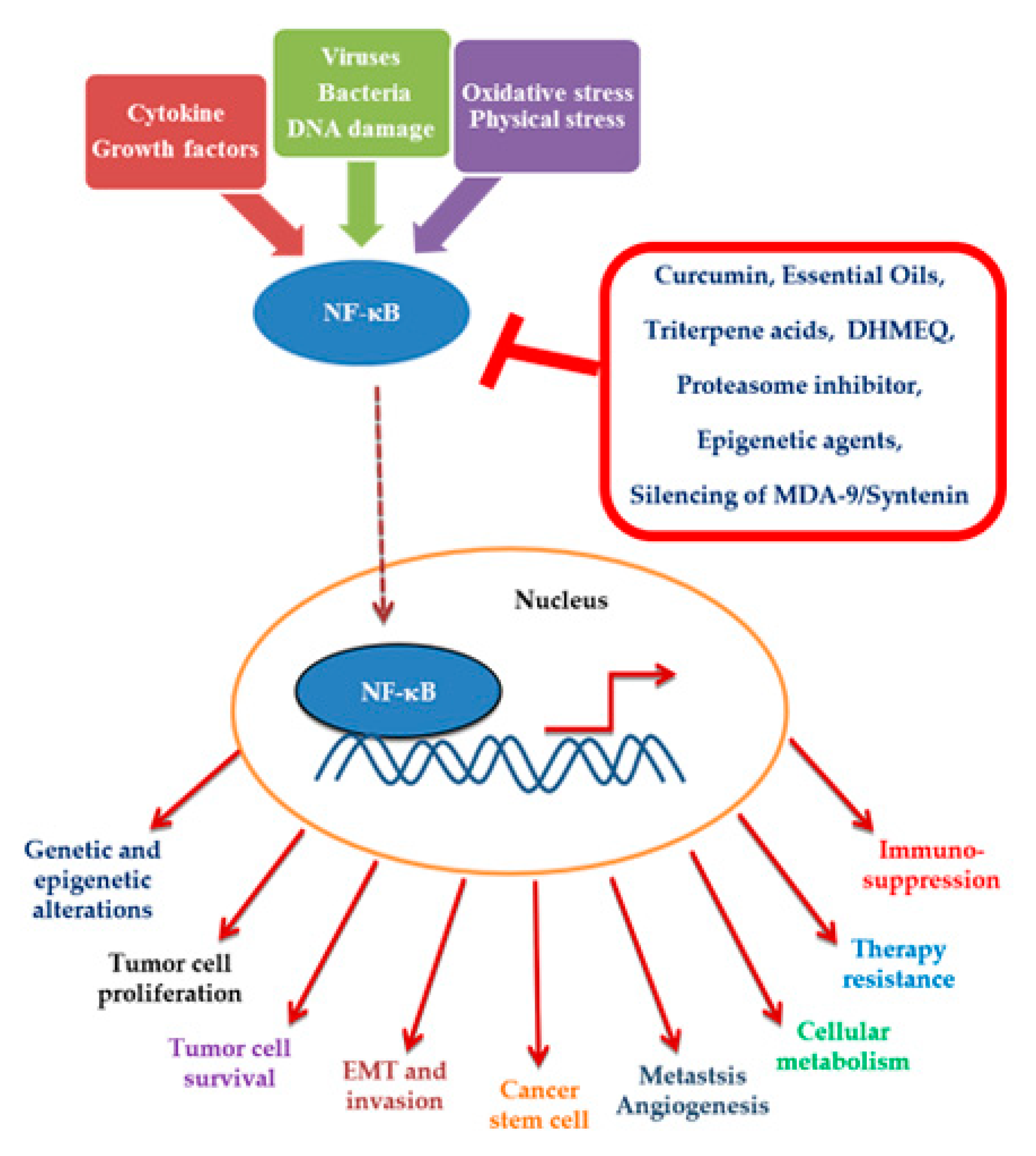 Ijms 21 03070 g001 Ijms 21 03070 g001