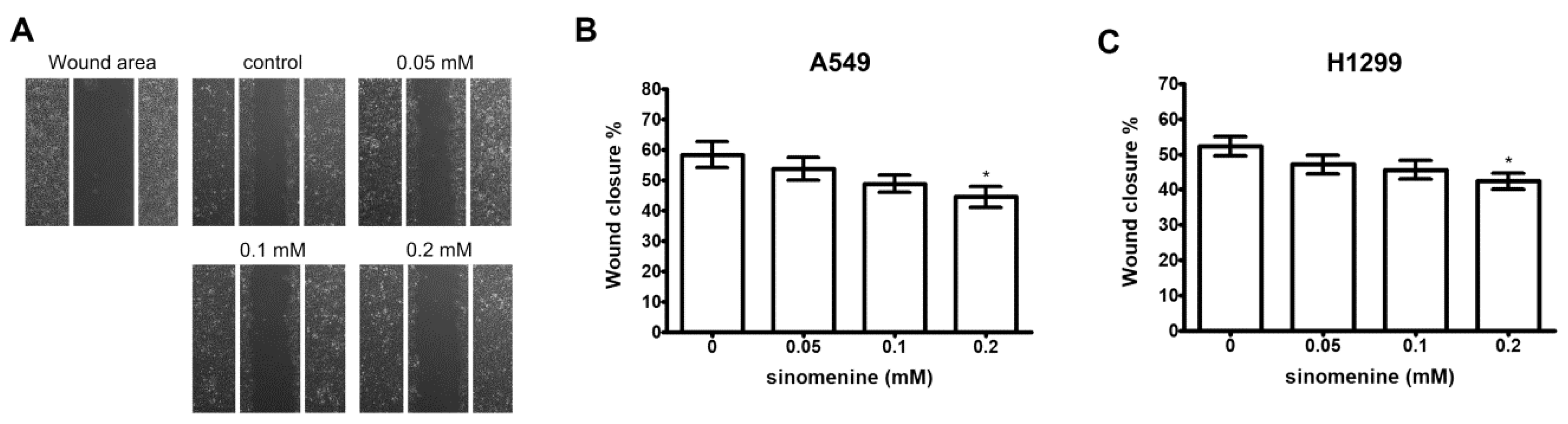 Ijms 21 03080 g002 Ijms 21 03080 g002