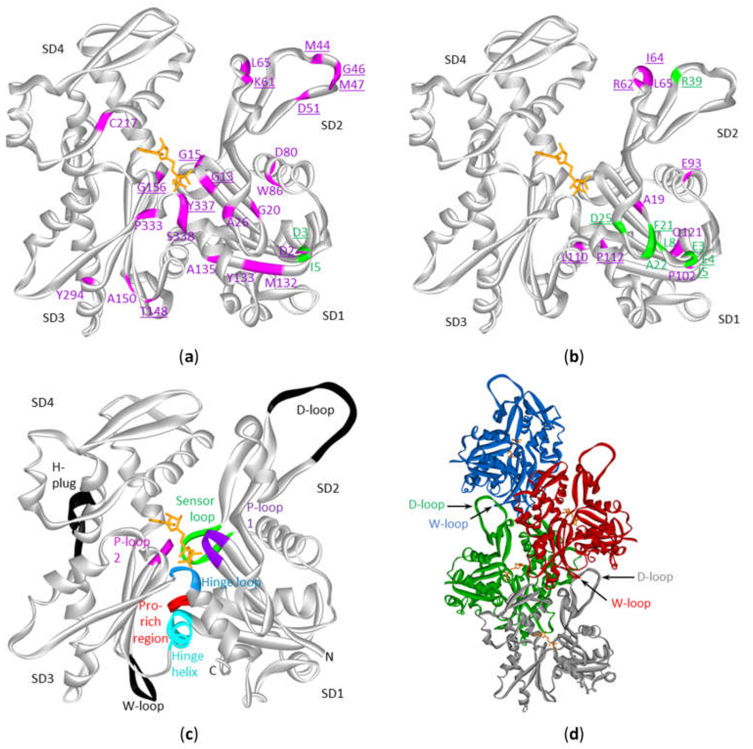 Ijms 21 03093 g004 Ijms 21 03093 g004