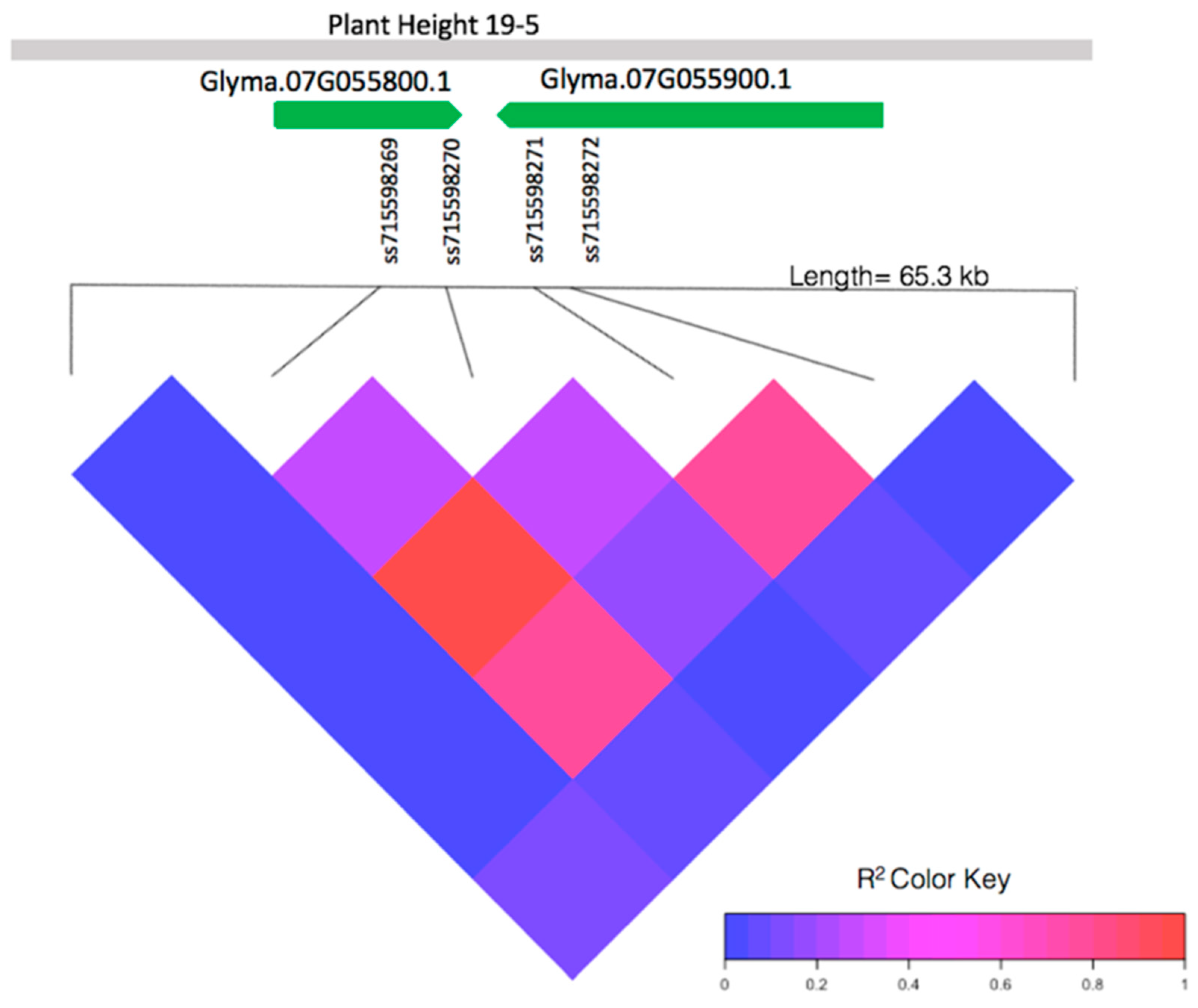 Ijms 21 03105 g002 Ijms 21 03105 g002