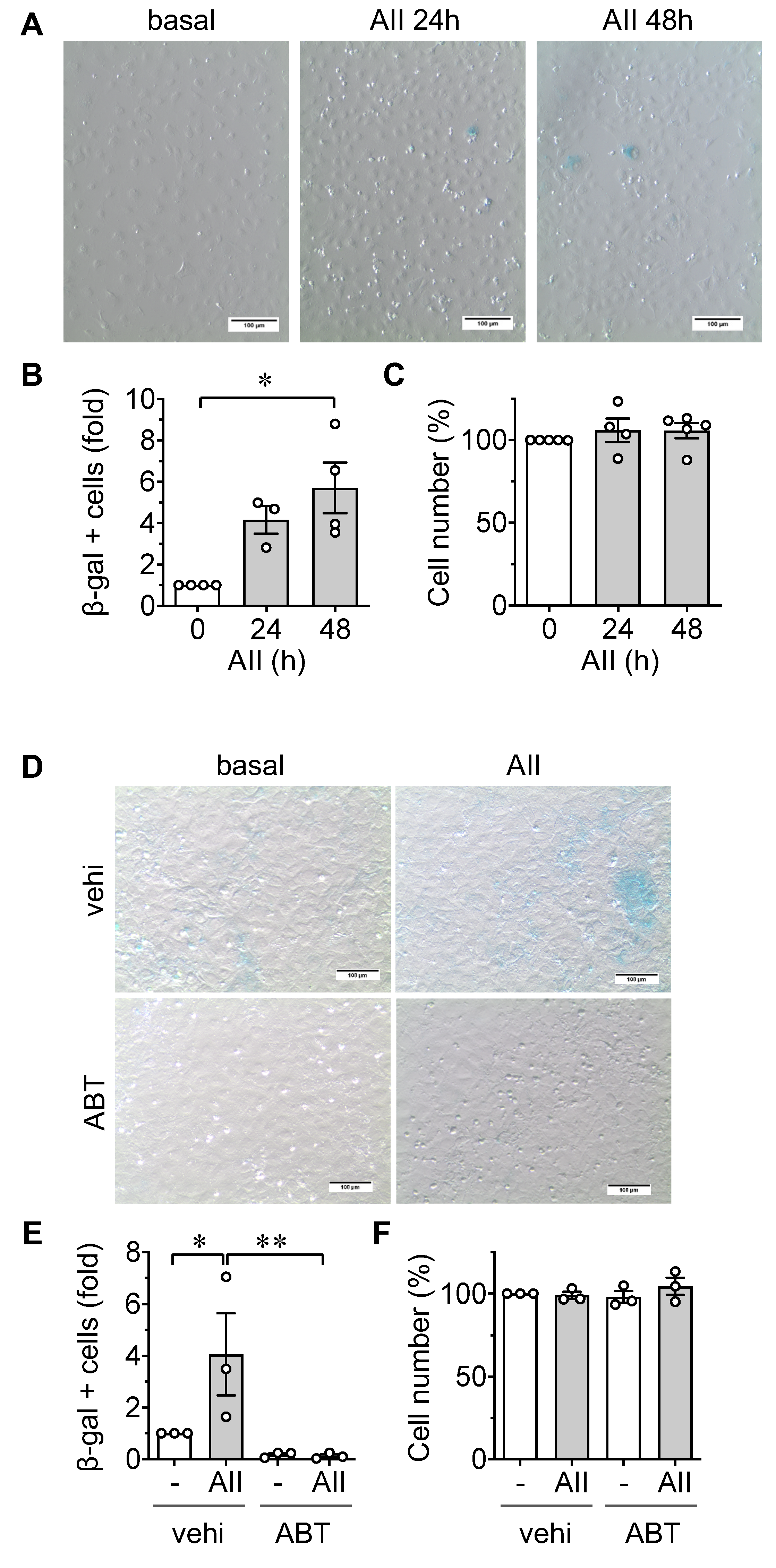 Ijms 21 03112 g001 Ijms 21 03112 g001