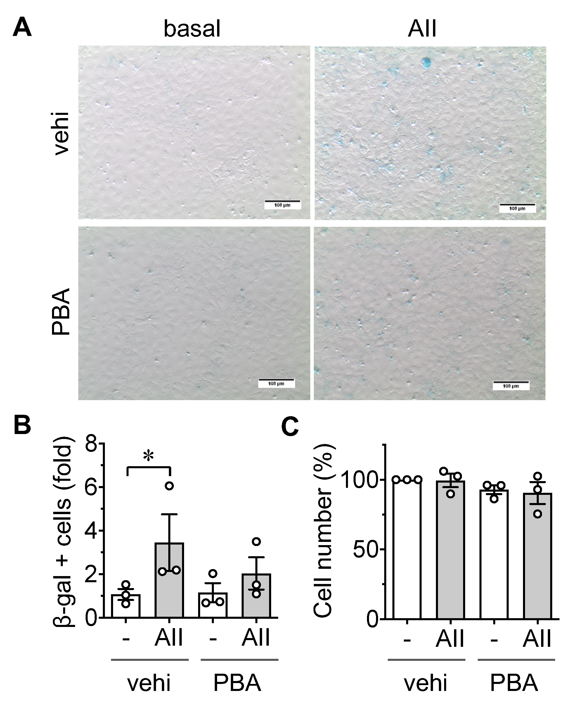 Ijms 21 03112 g002 Ijms 21 03112 g002