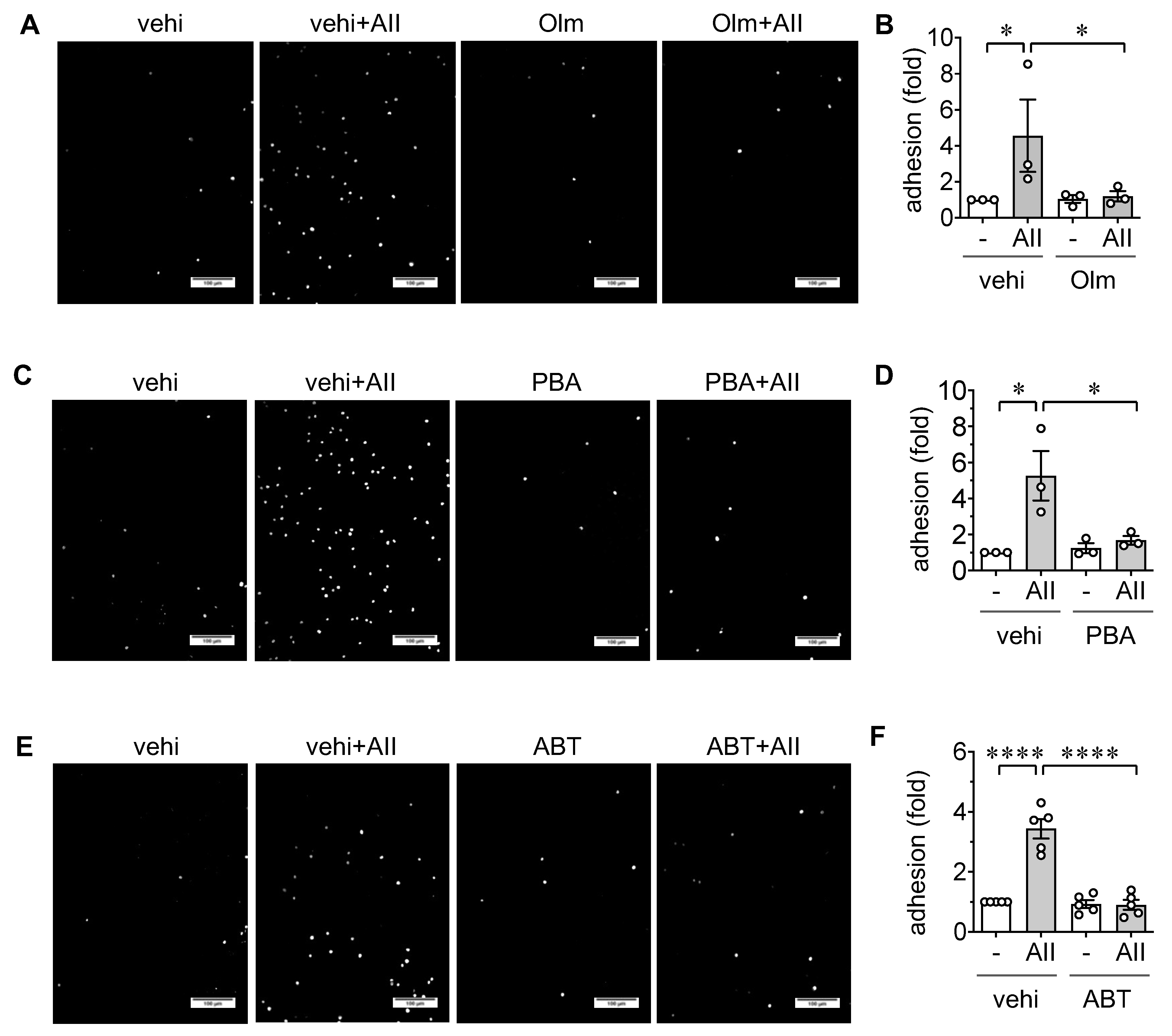 Ijms 21 03112 g003 Ijms 21 03112 g003