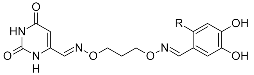 Ijms 21 03118 i002 Ijms 21 03118 i002