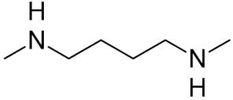 Ijms 21 03118 i007 Ijms 21 03118 i007