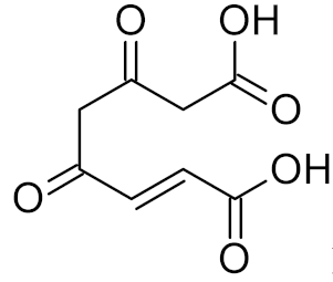 Ijms 21 03118 i033 Ijms 21 03118 i033
