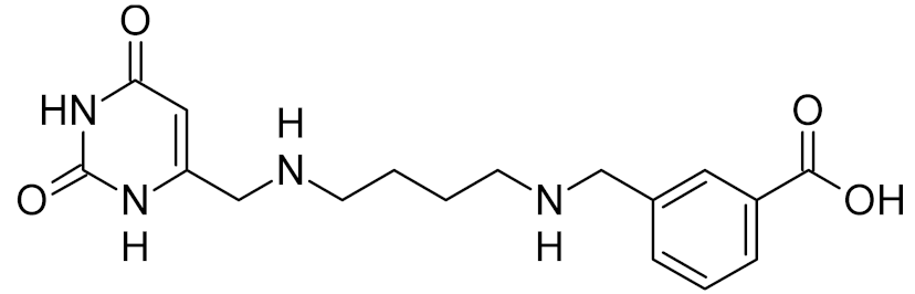 Ijms 21 03118 i040 Ijms 21 03118 i040