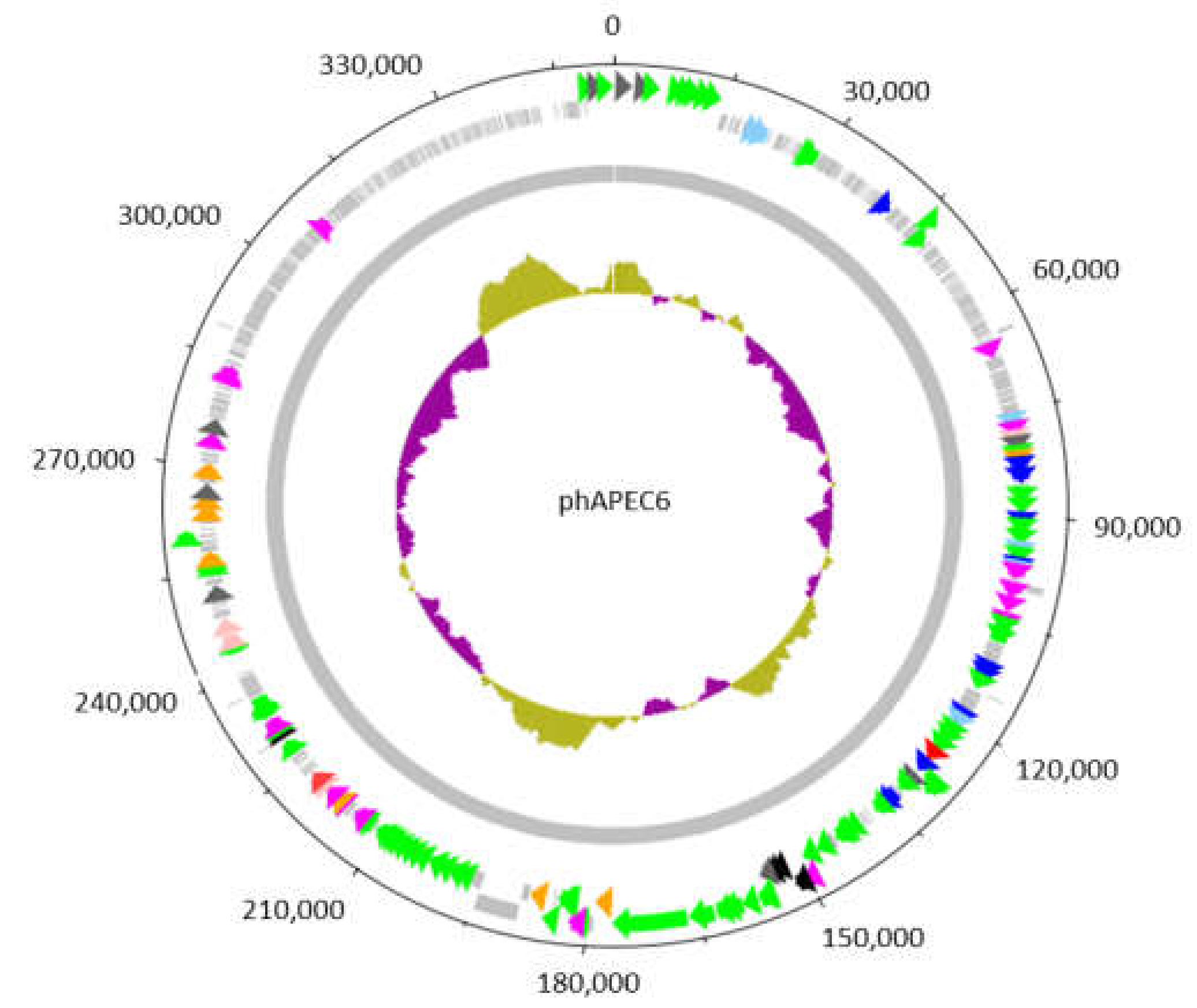 Ijms 21 03119 g002 Ijms 21 03119 g002