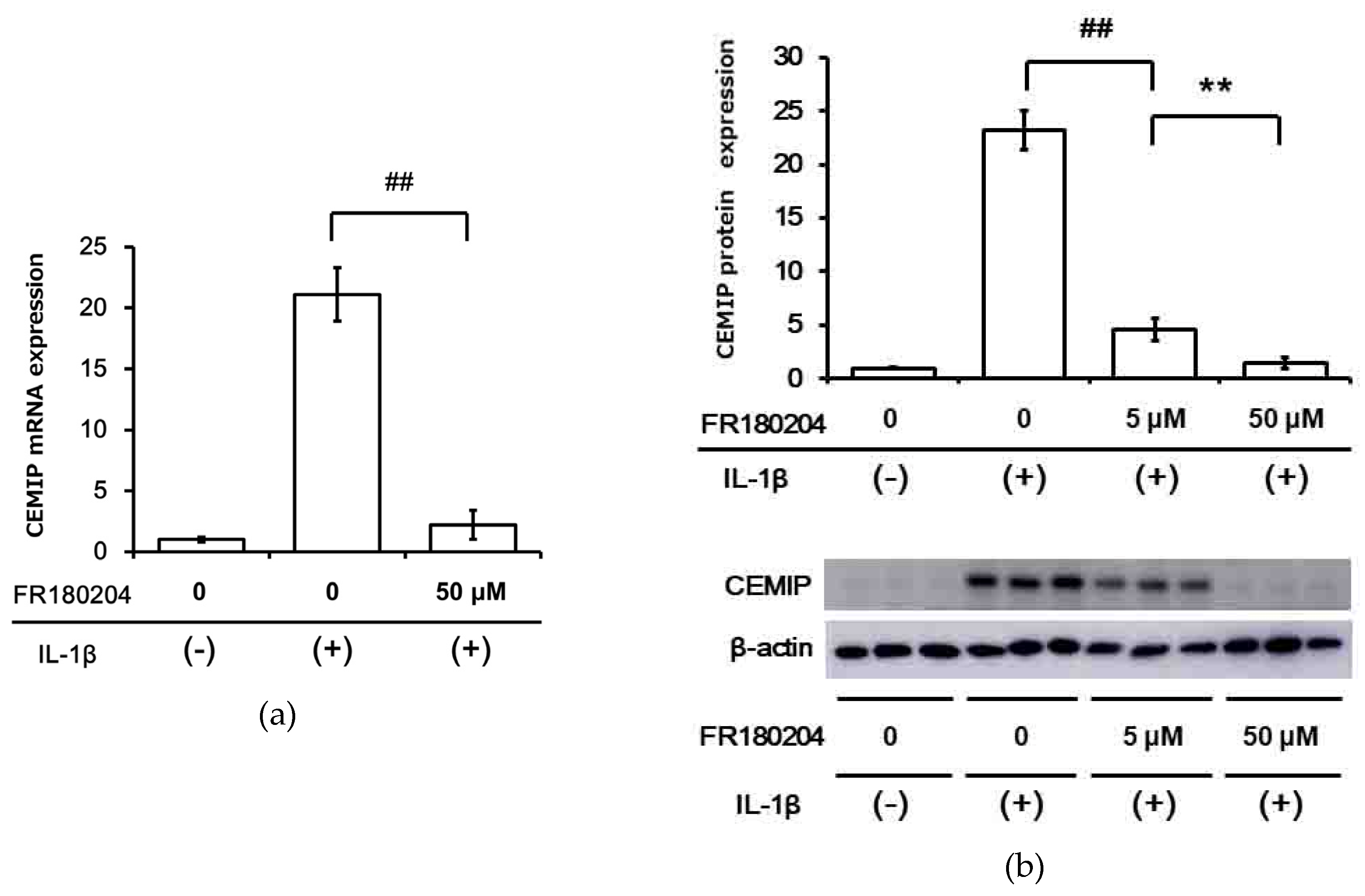Ijms 21 03140 g005 Ijms 21 03140 g005