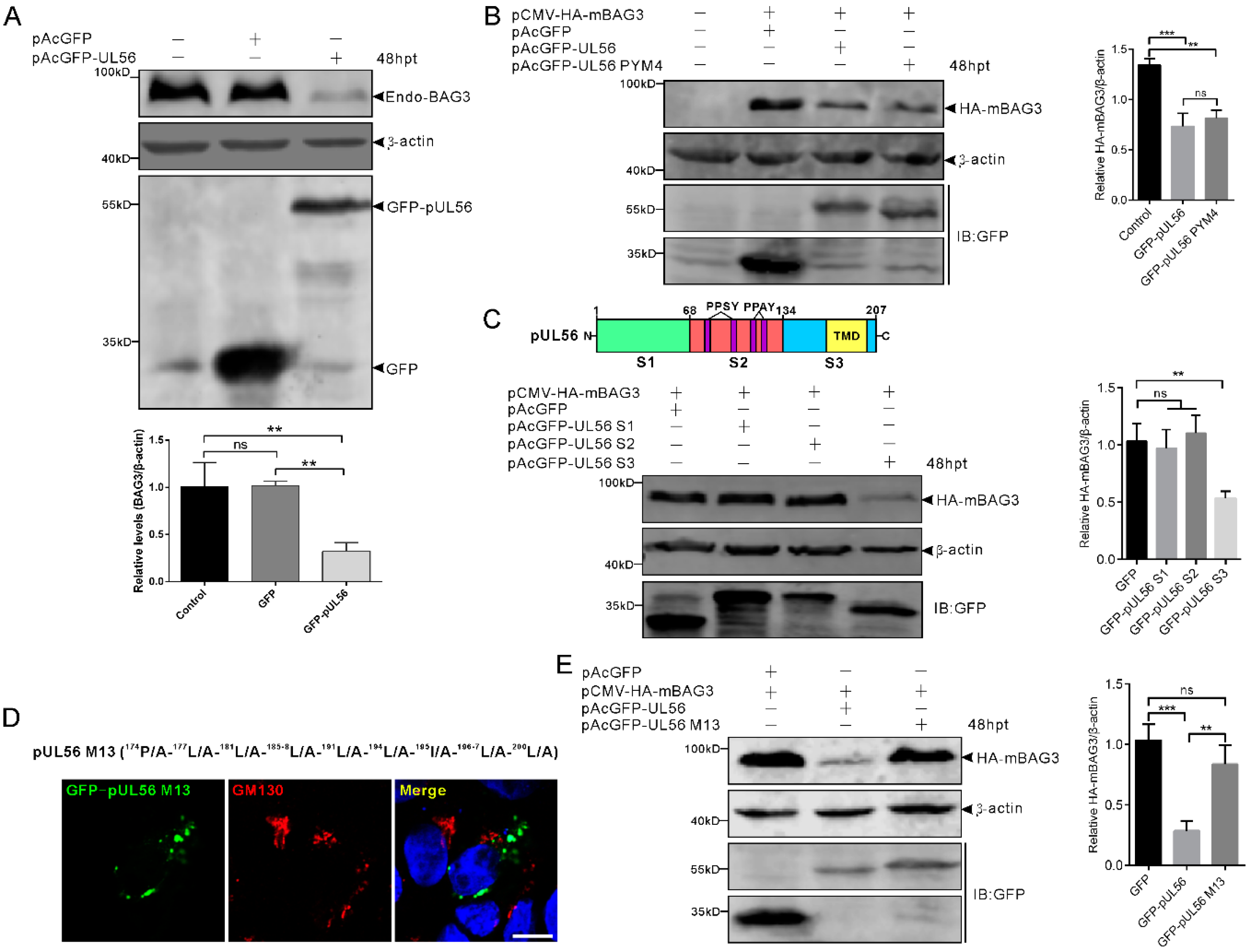 Ijms 21 03148 g004 Ijms 21 03148 g004