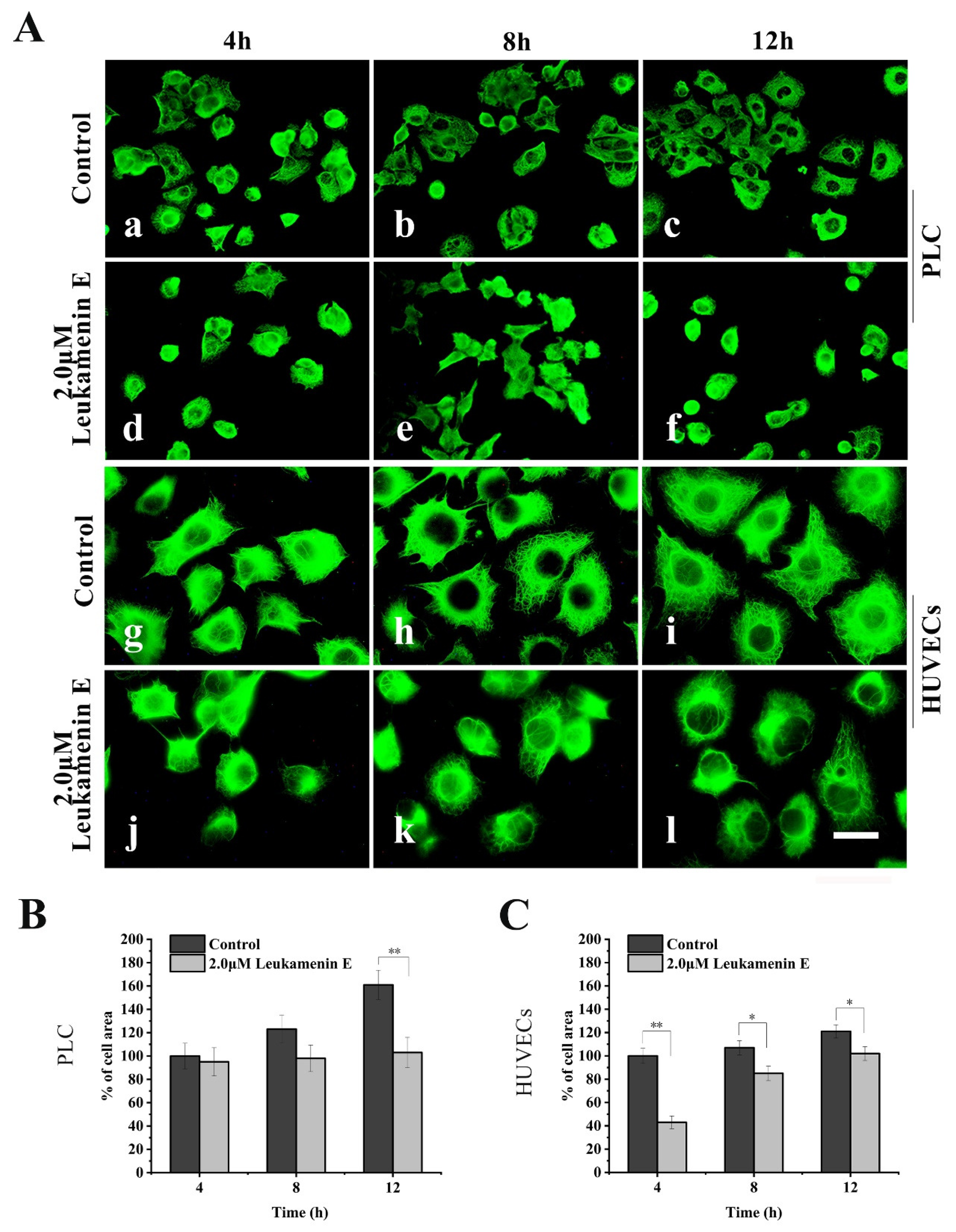 Ijms 21 03164 g005 Ijms 21 03164 g005