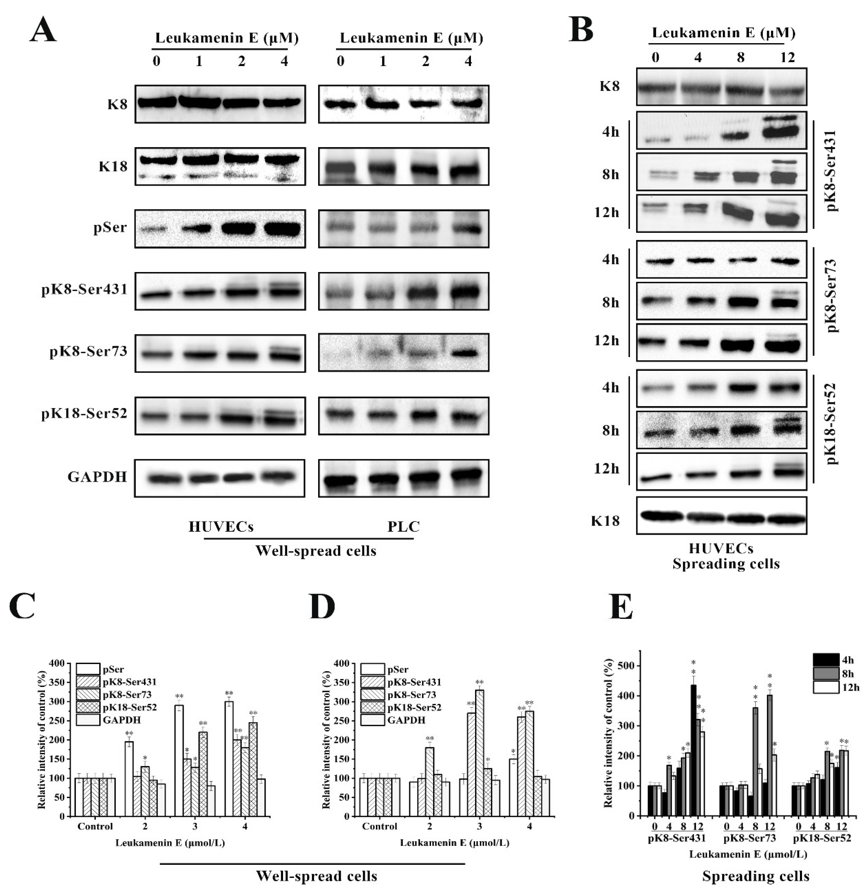 Ijms 21 03164 g006 Ijms 21 03164 g006
