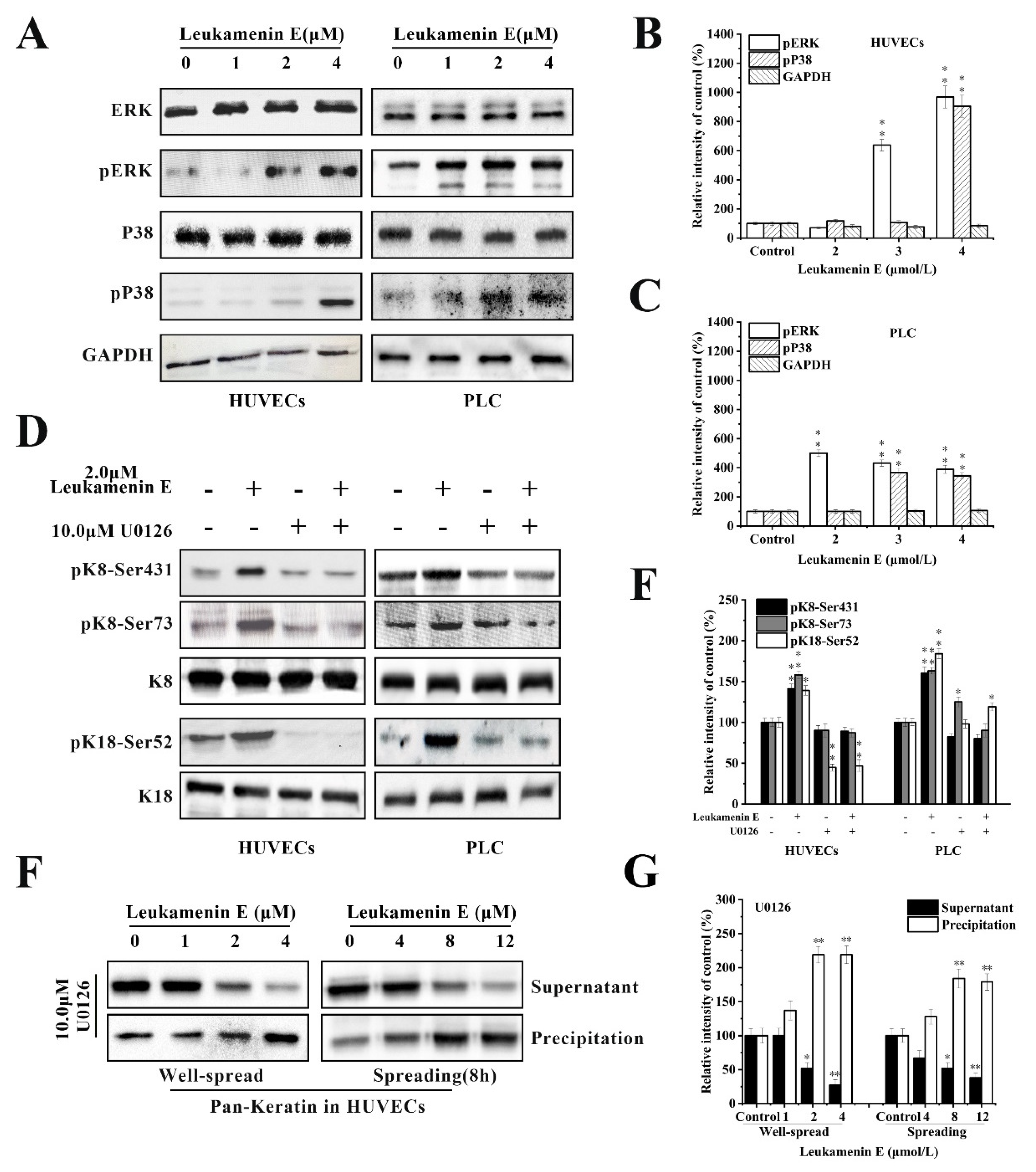 Ijms 21 03164 g008 Ijms 21 03164 g008