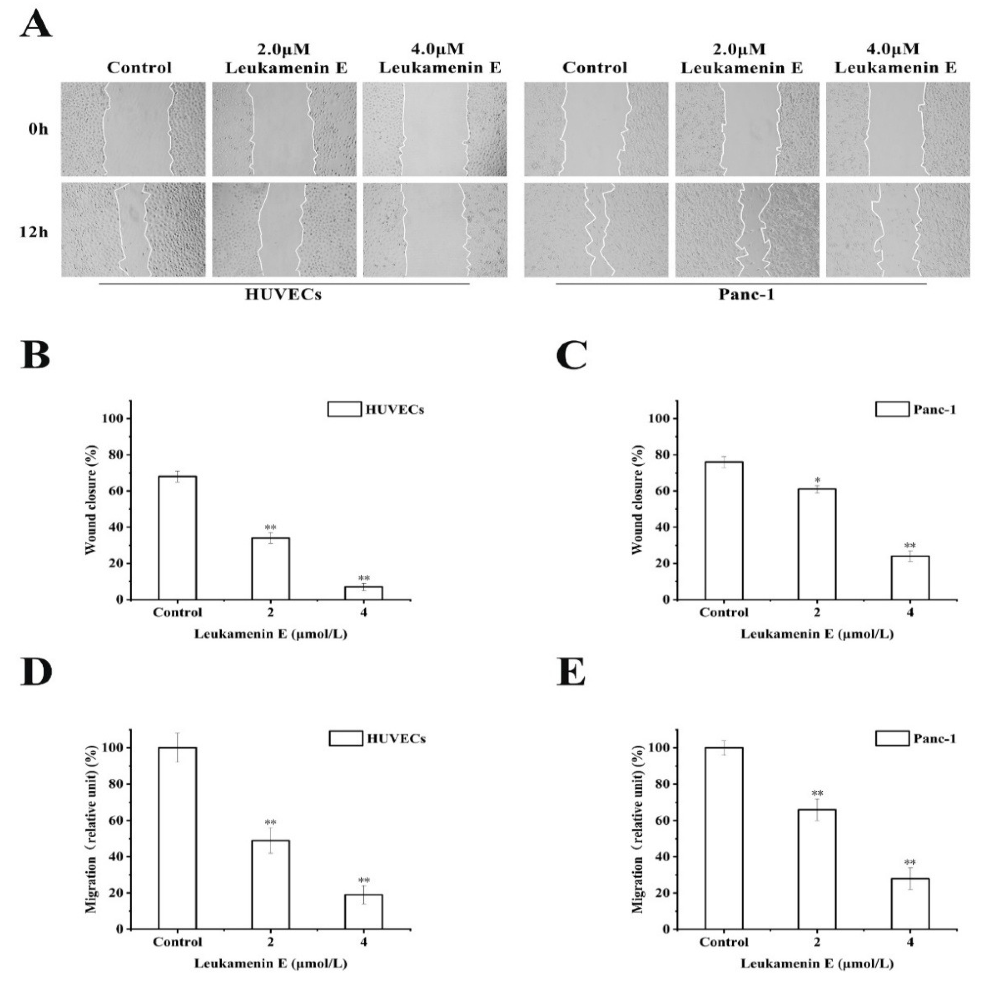 Ijms 21 03164 g009 Ijms 21 03164 g009