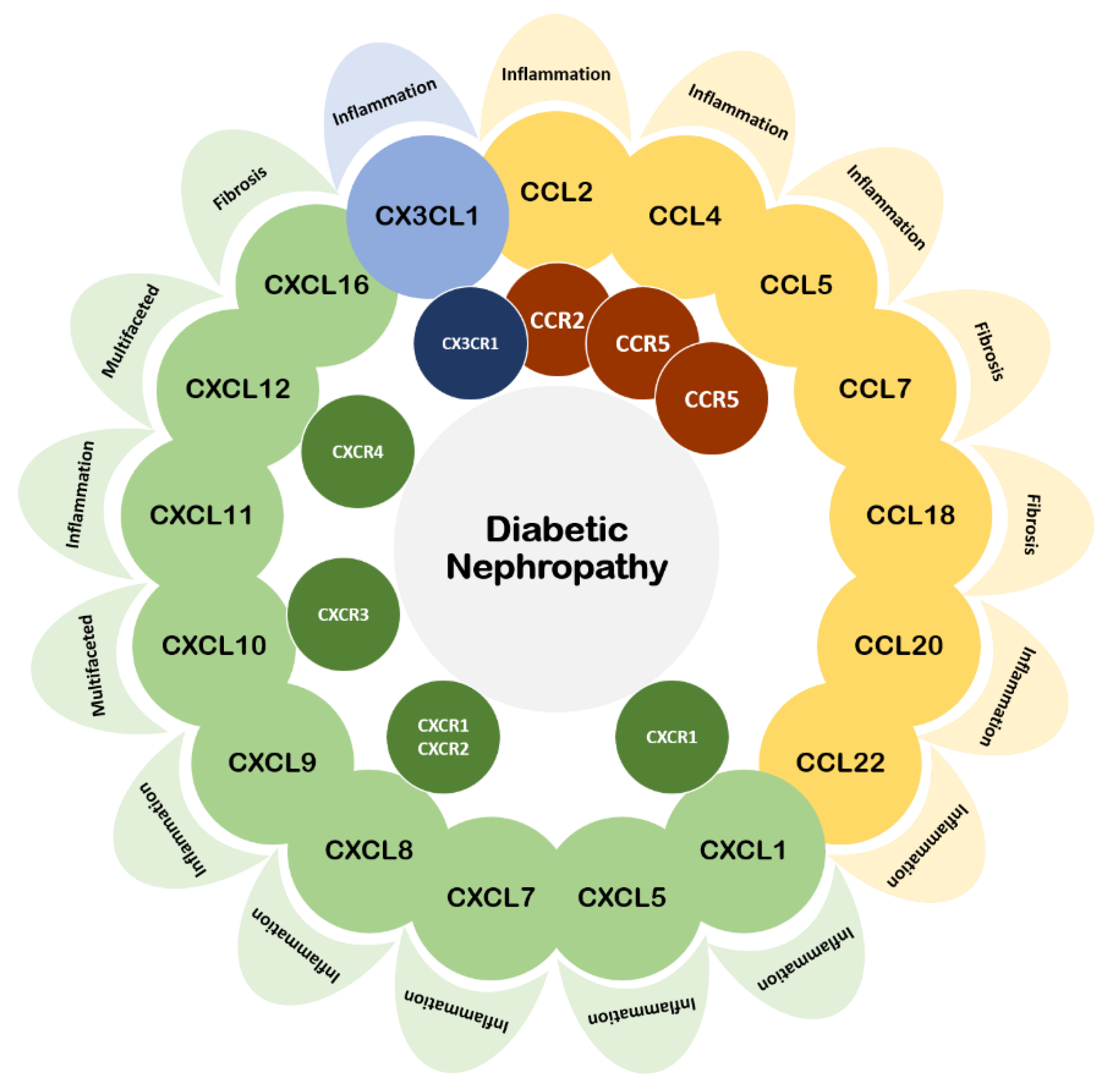 Ijms 21 03172 g001 Ijms 21 03172 g001