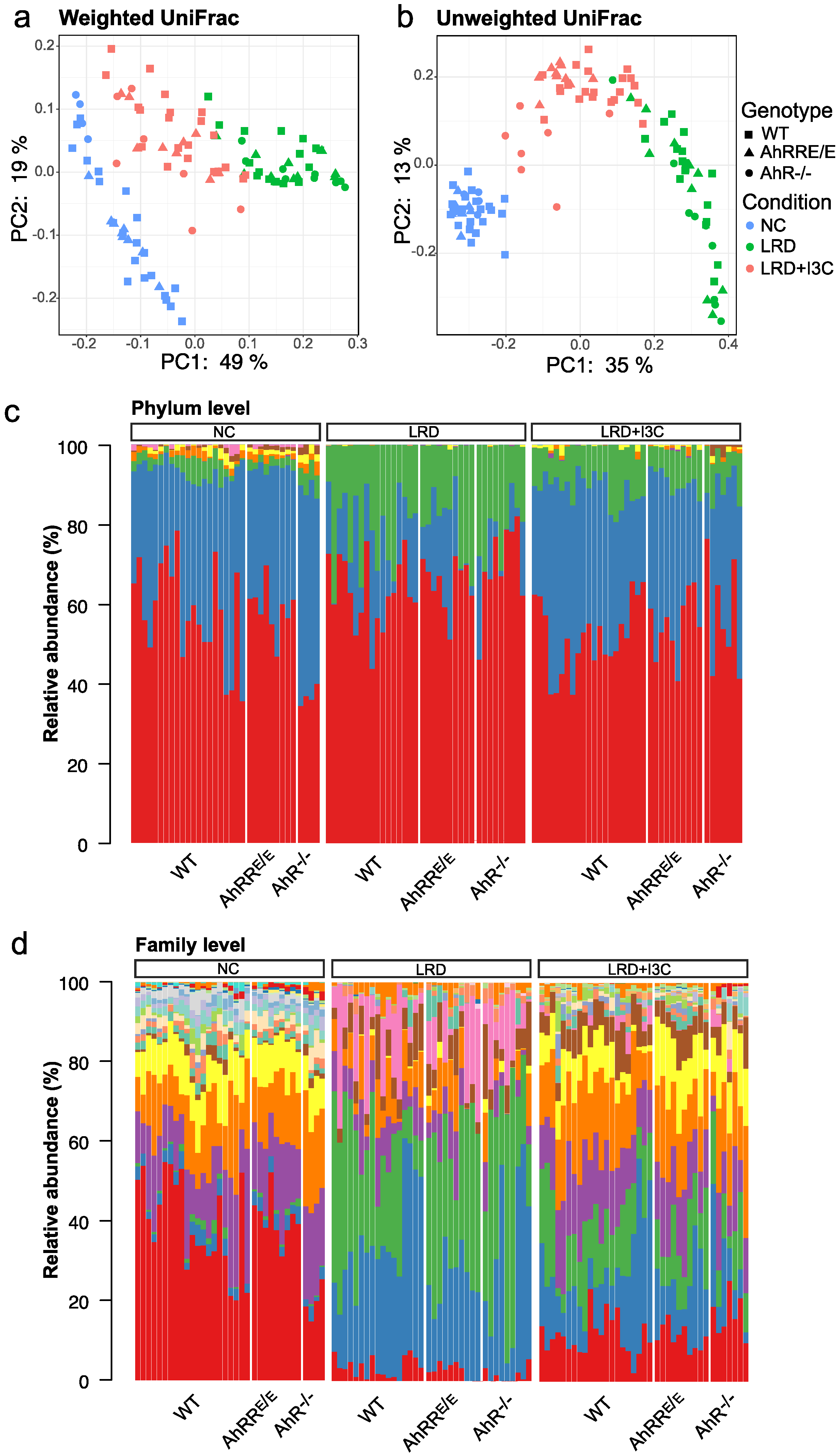 Ijms 21 03189 g004 Ijms 21 03189 g004