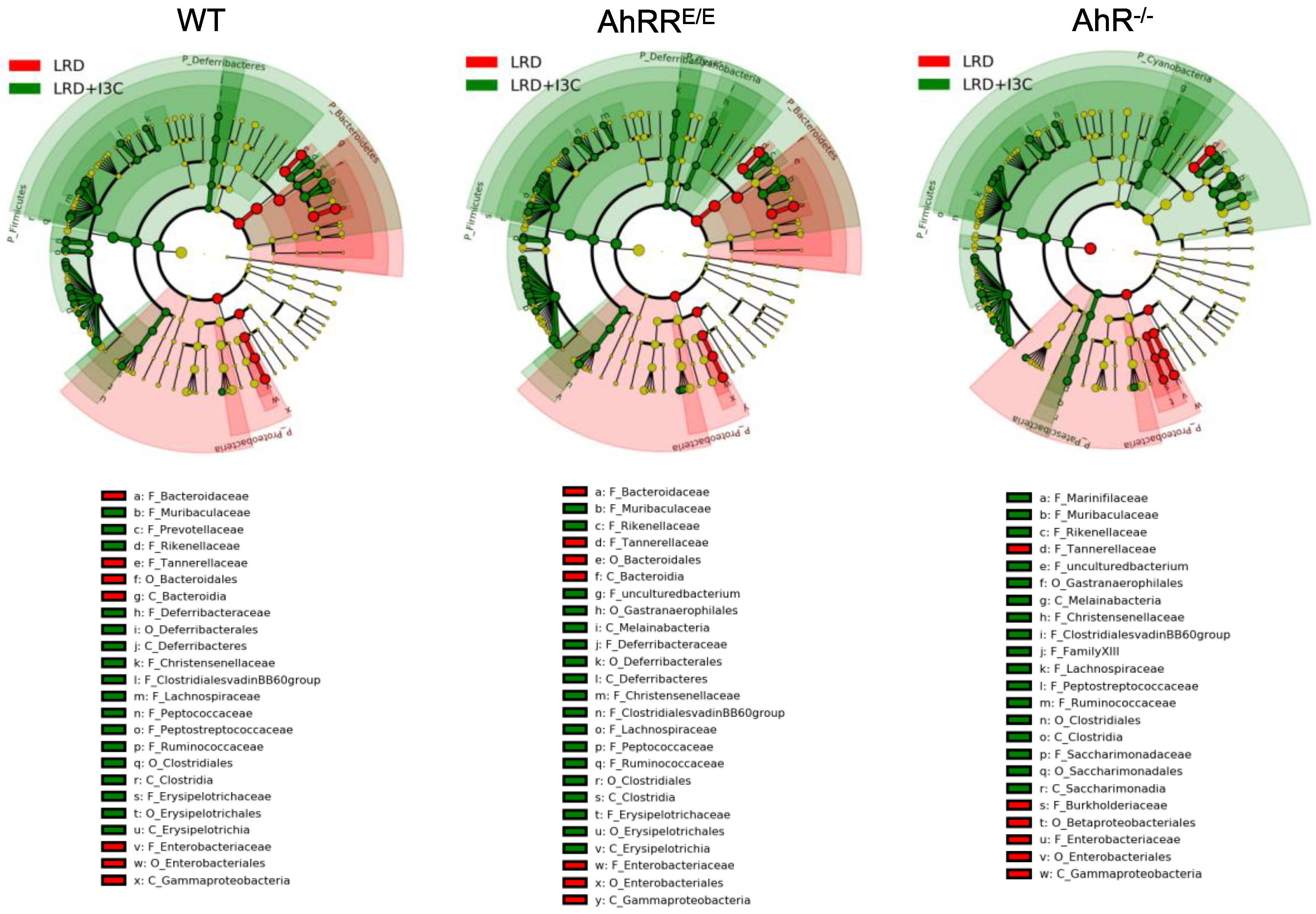 Ijms 21 03189 g005 Ijms 21 03189 g005
