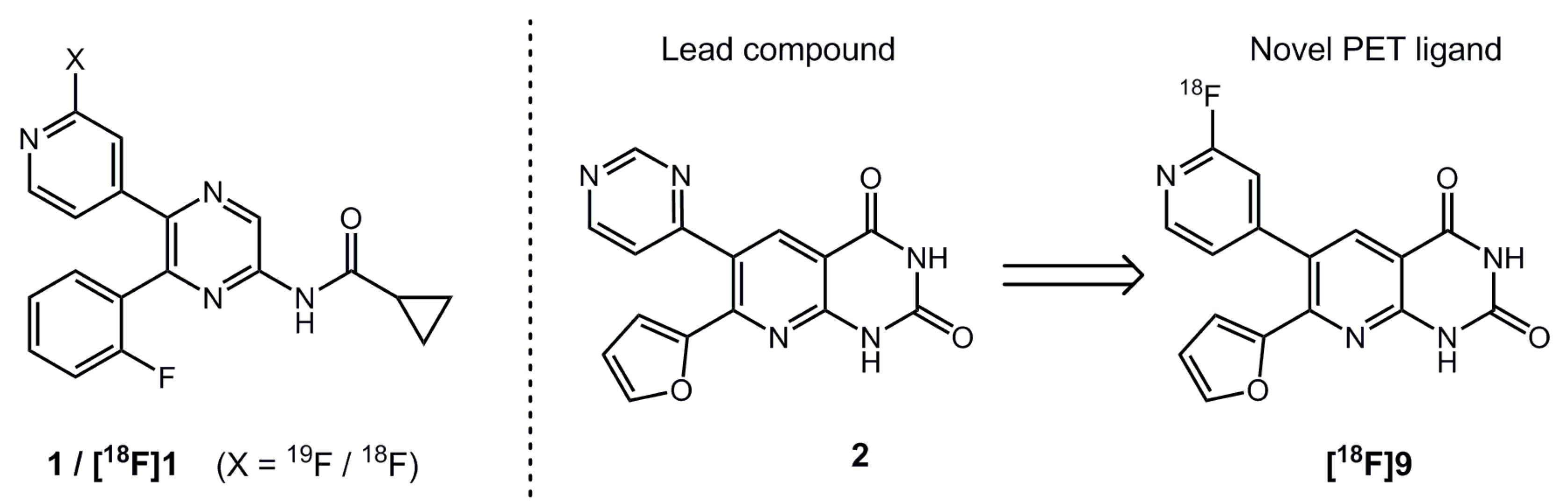 Ijms 21 03197 g001 Ijms 21 03197 g001