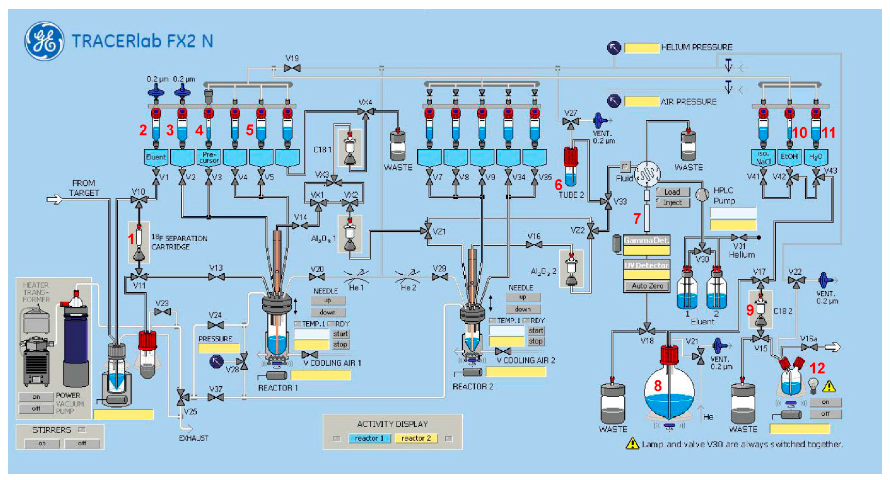 Ijms 21 03197 g004 Ijms 21 03197 g004