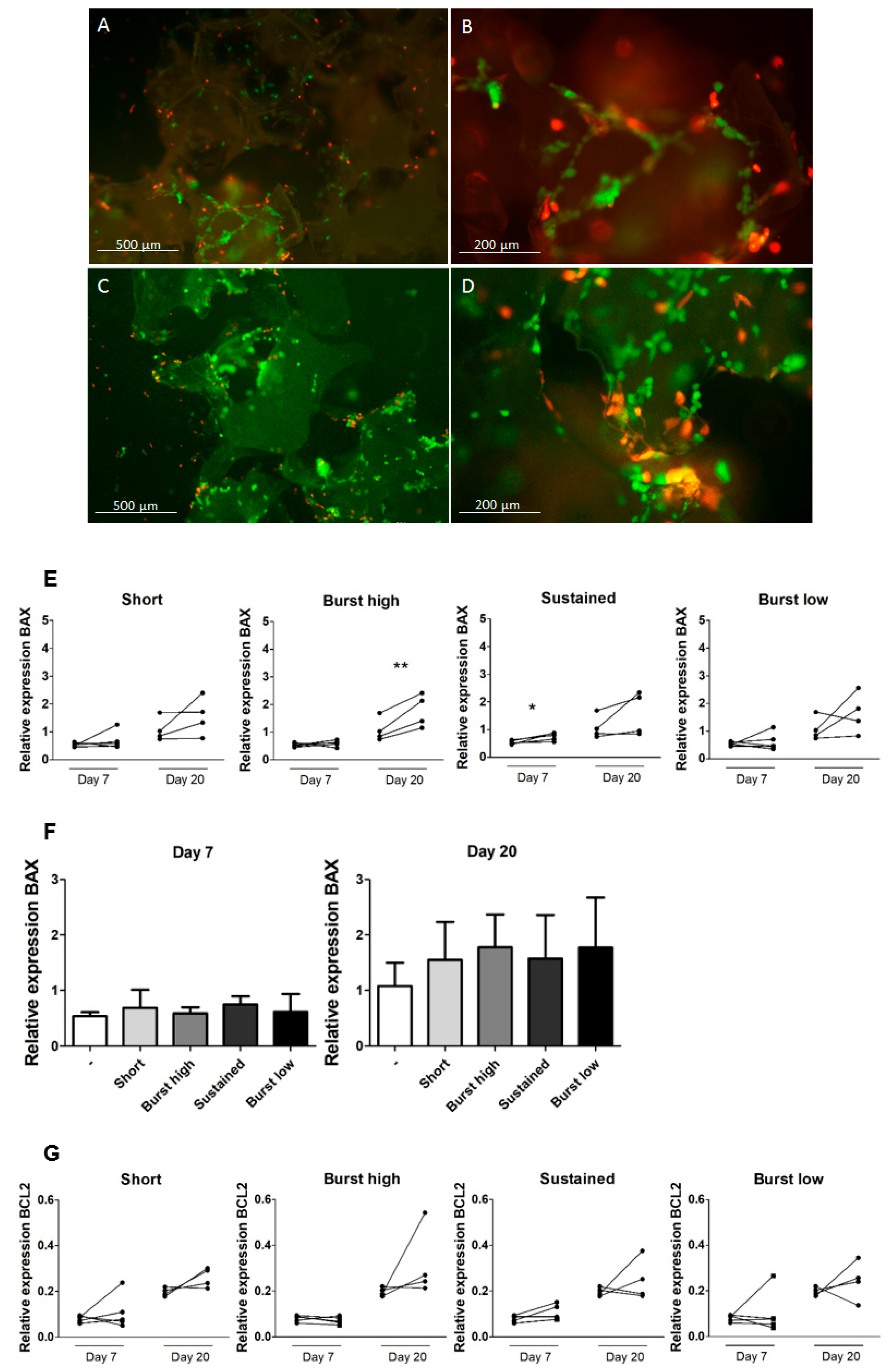 Ijms 21 03202 g002 Ijms 21 03202 g002