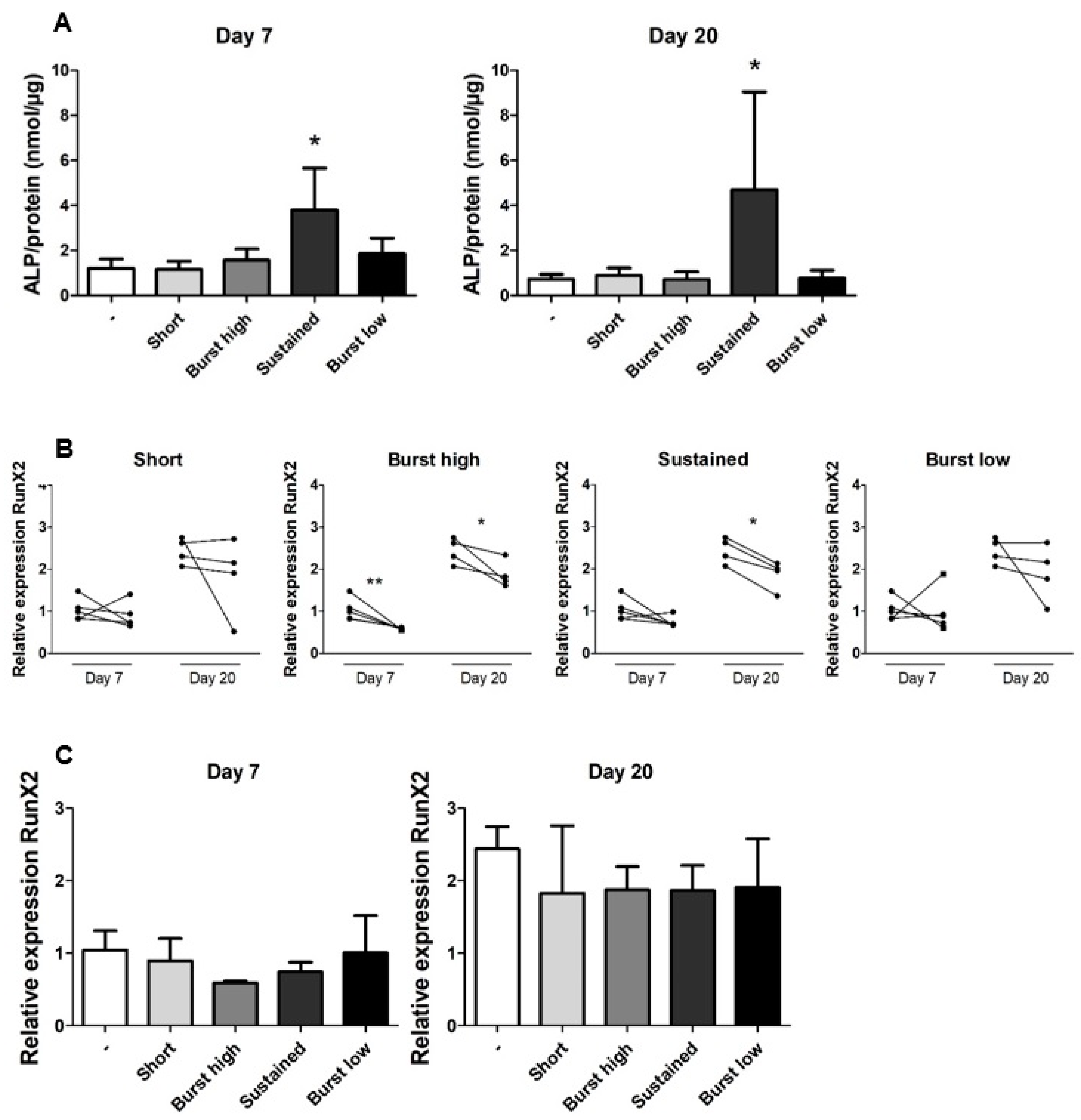 Ijms 21 03202 g004 Ijms 21 03202 g004