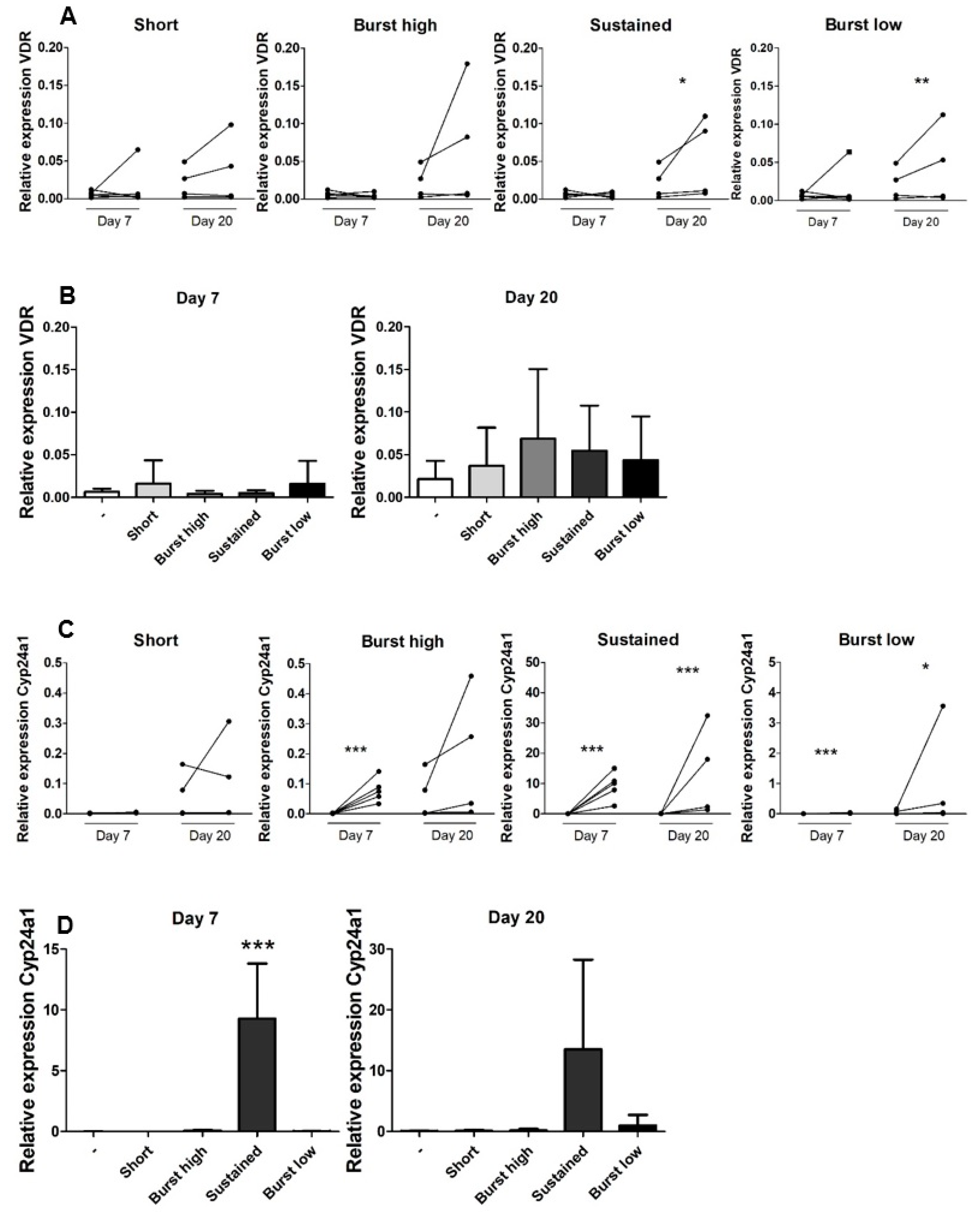 Ijms 21 03202 g005 Ijms 21 03202 g005