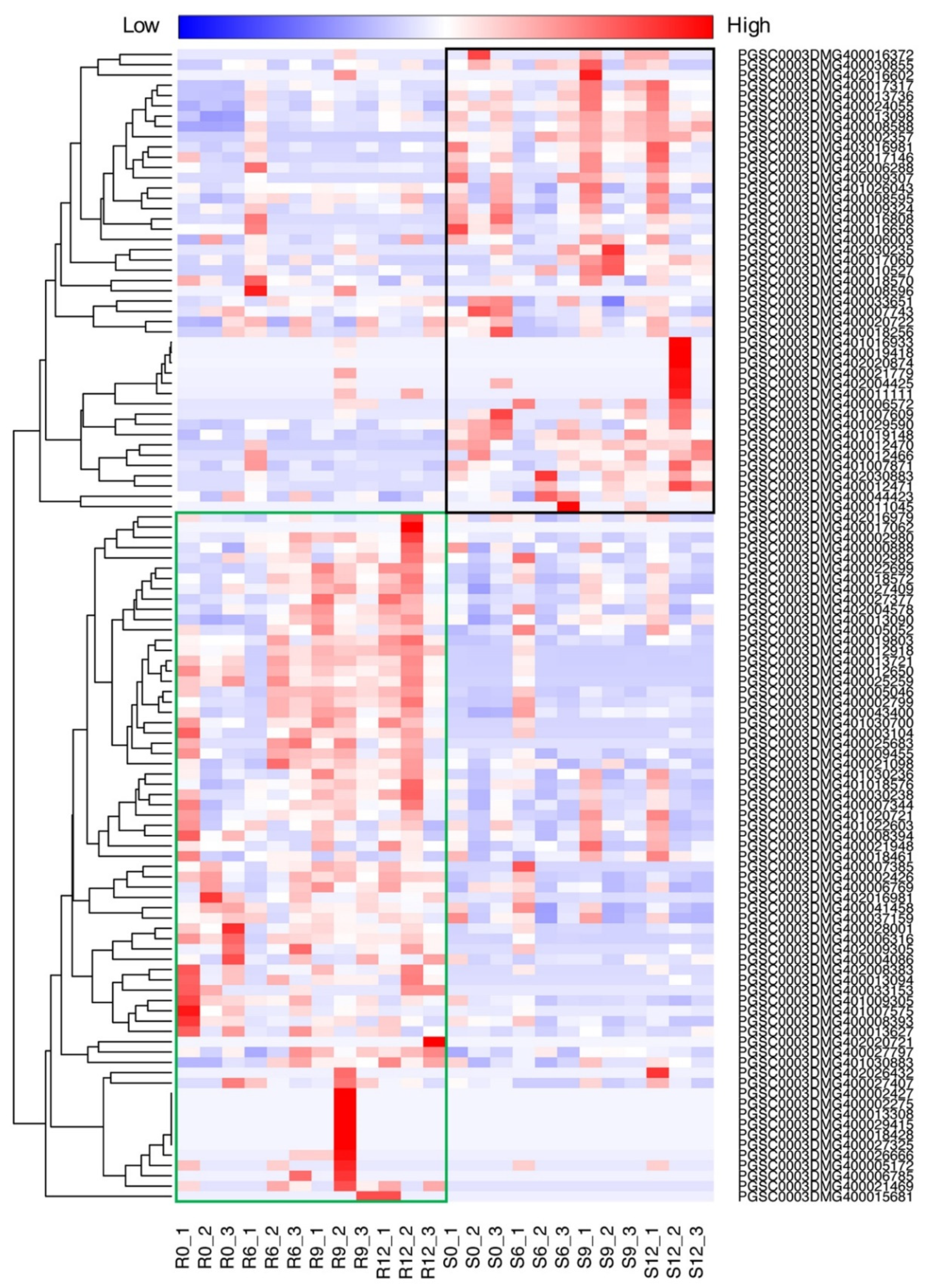 Ijms 21 03211 g005 Ijms 21 03211 g005