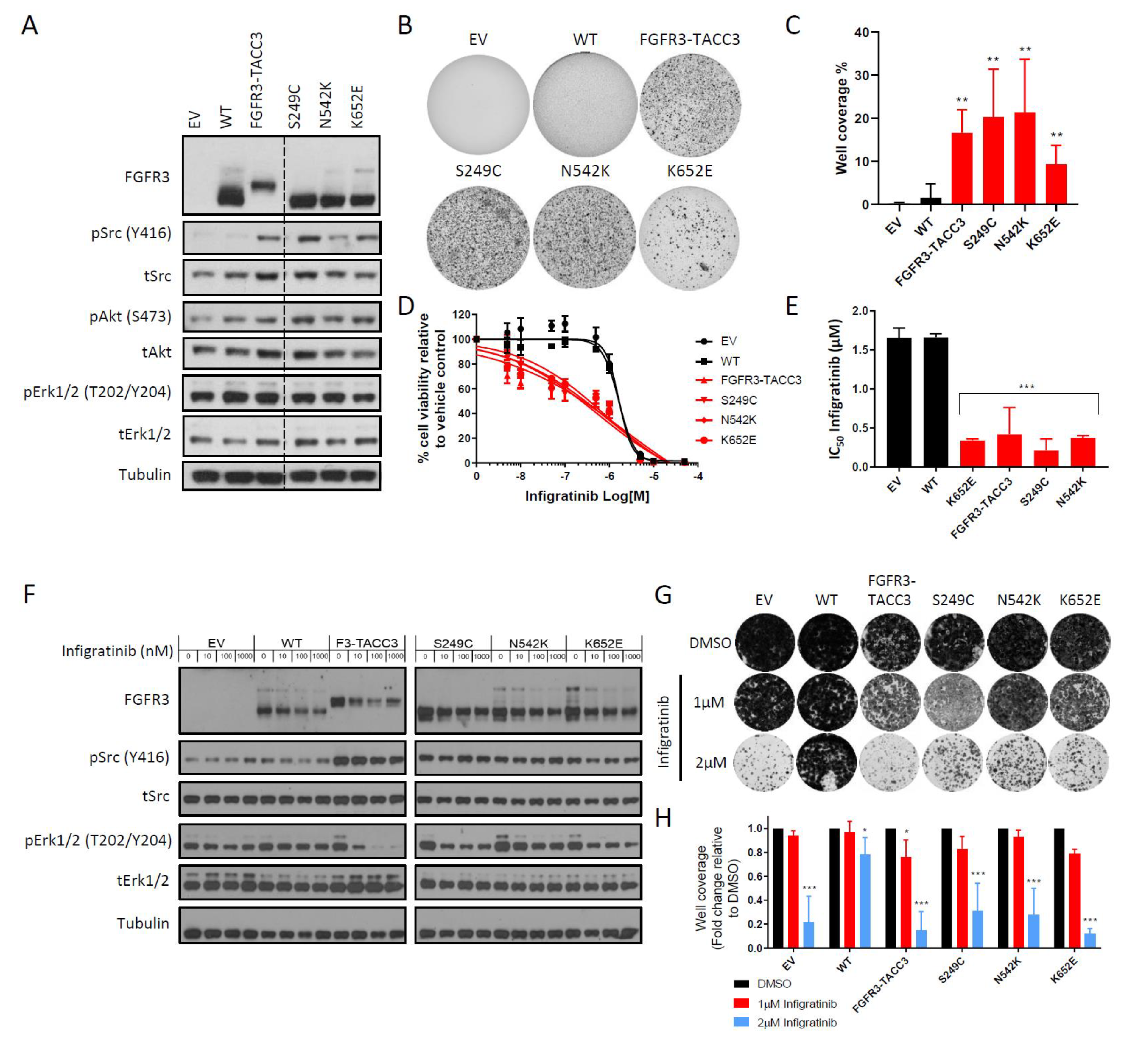 Ijms 21 03214 g001 Ijms 21 03214 g001