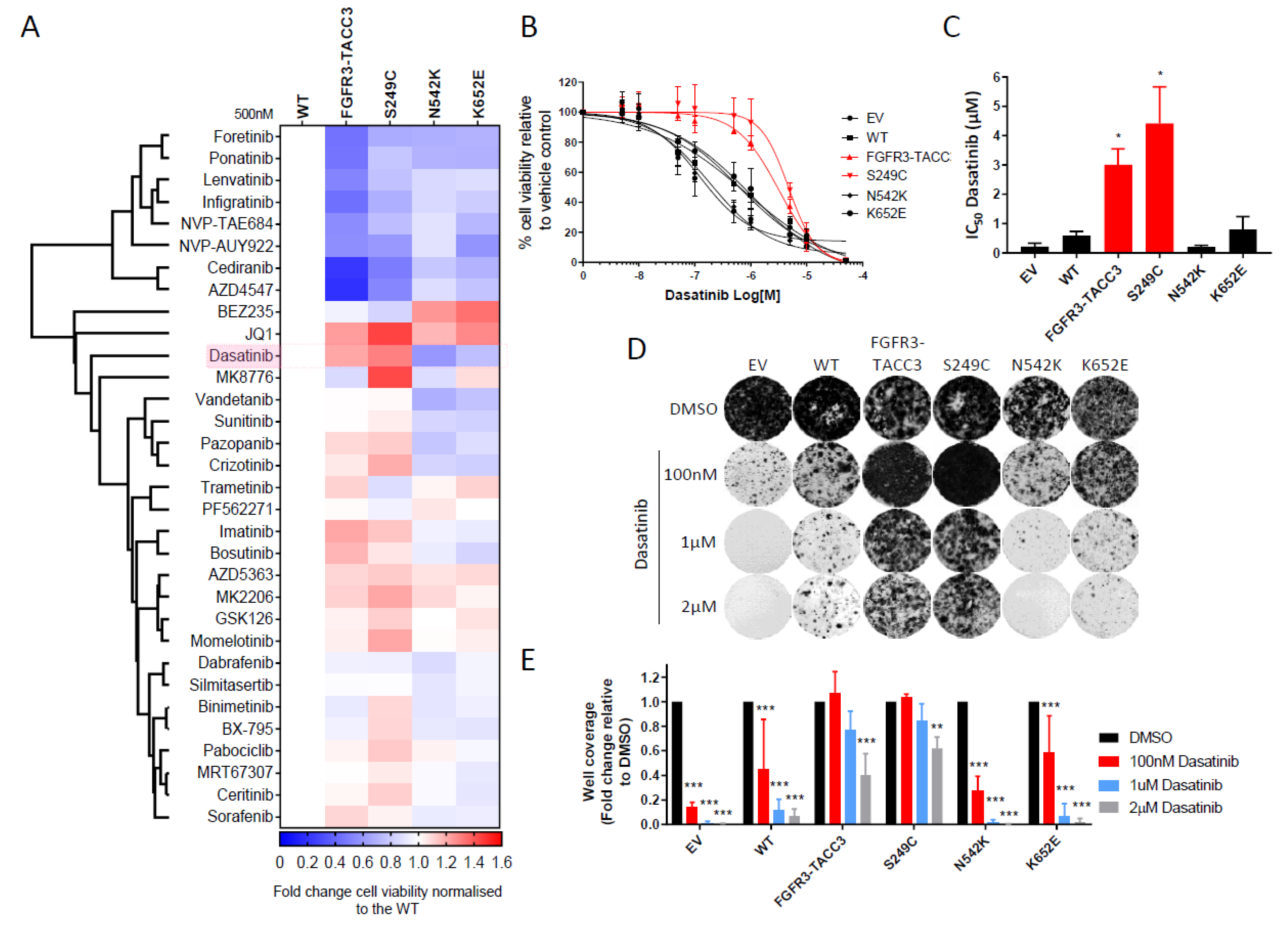 Ijms 21 03214 g002a Ijms 21 03214 g002a