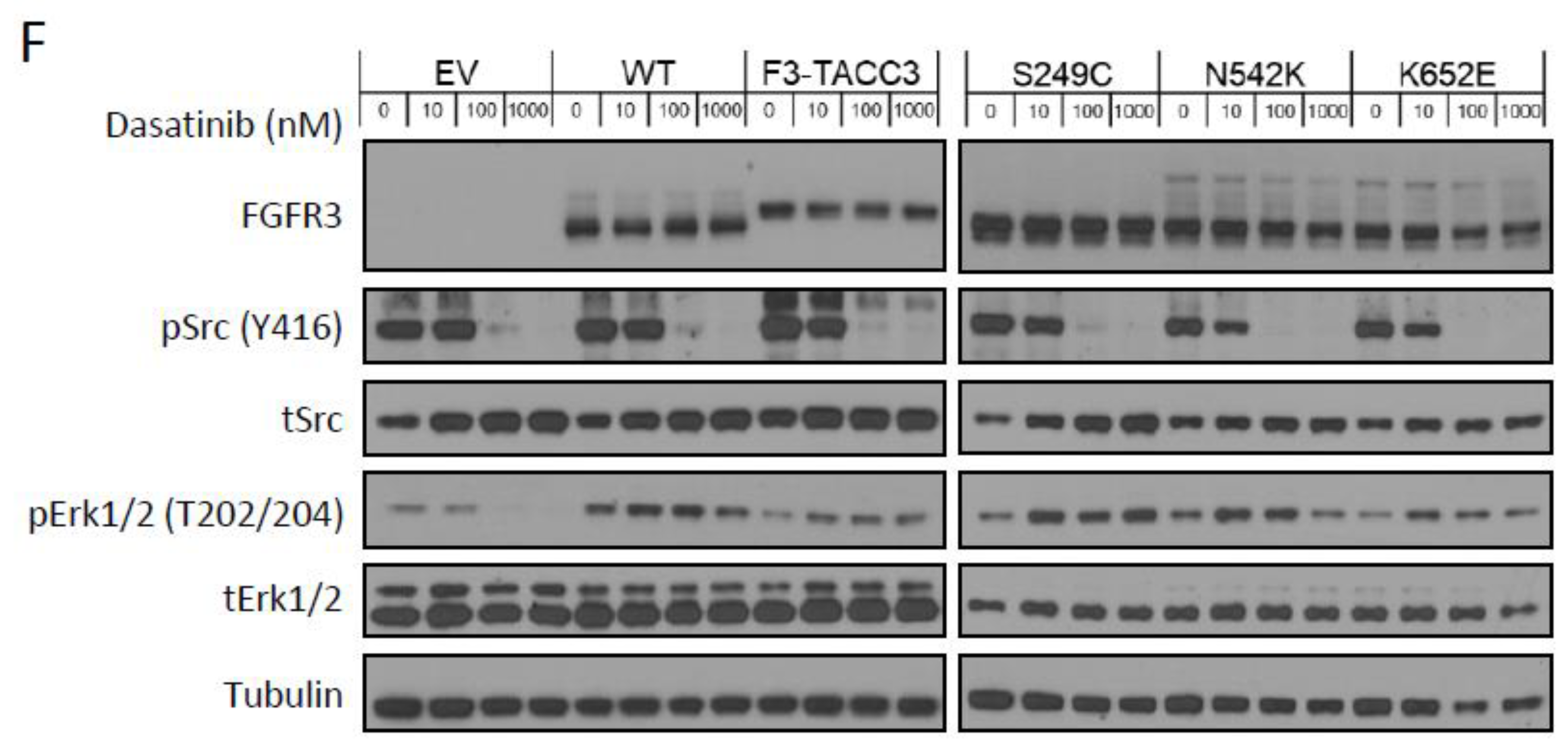 Ijms 21 03214 g002b Ijms 21 03214 g002b
