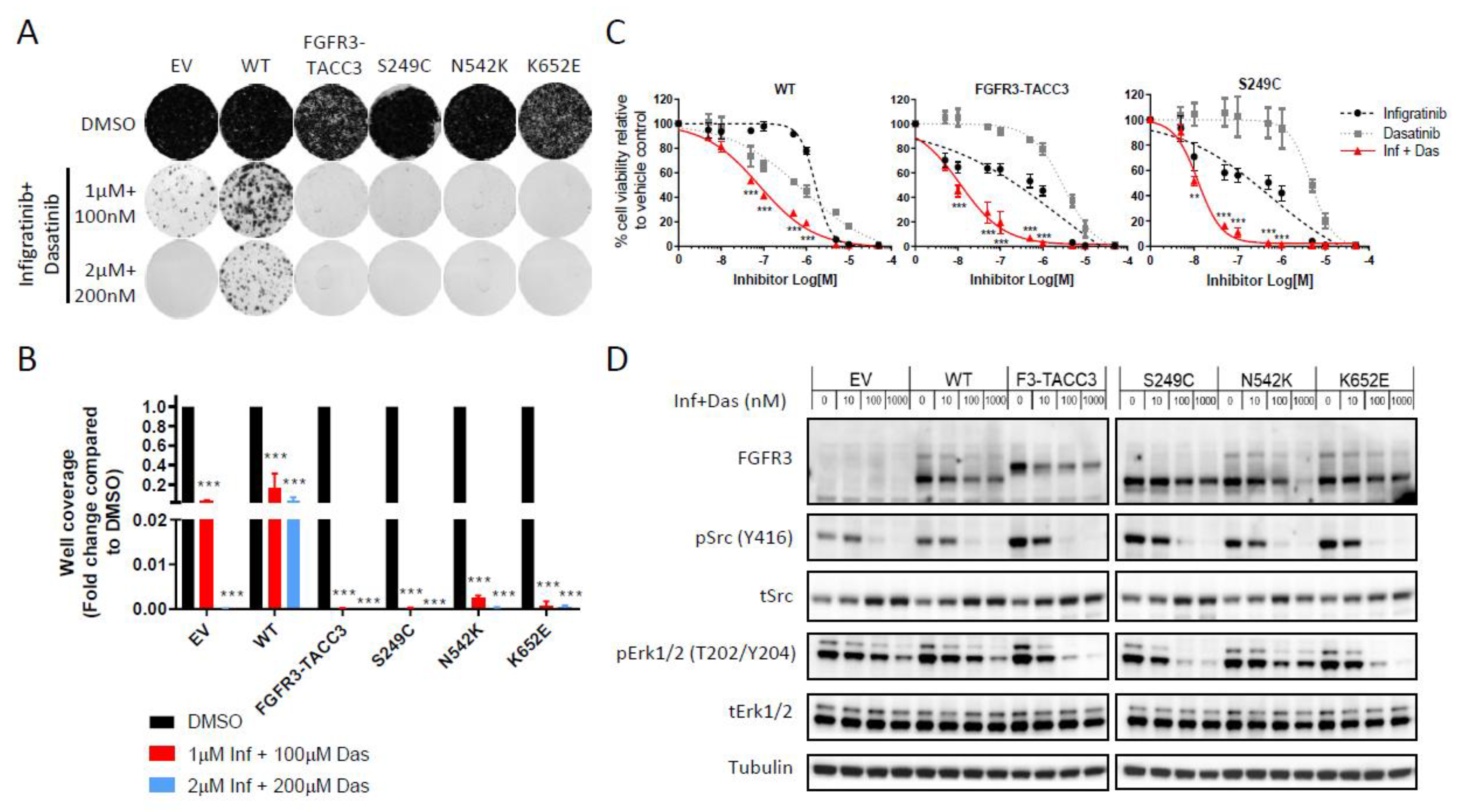 Ijms 21 03214 g003 Ijms 21 03214 g003