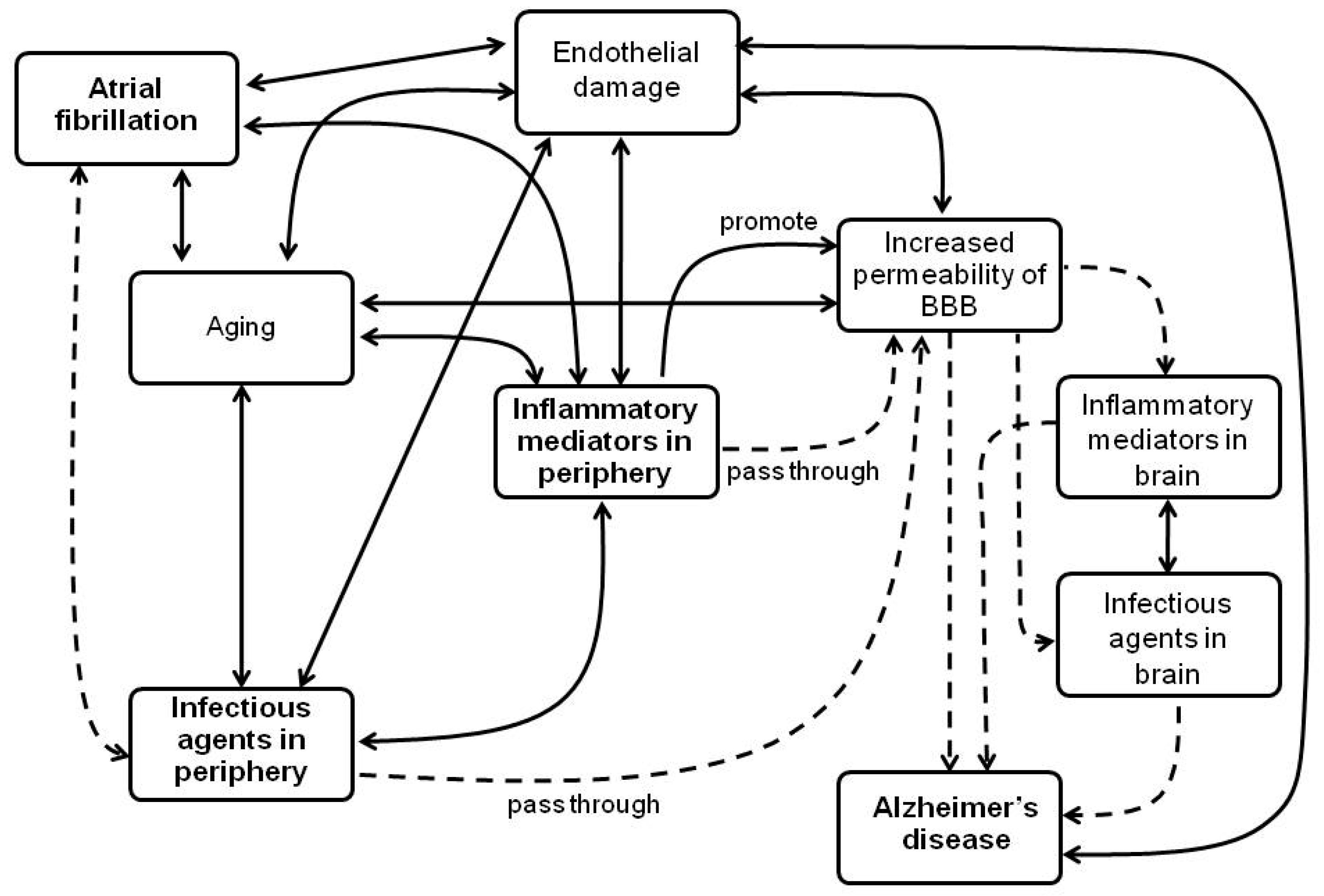 Ijms 21 03226 g001 Ijms 21 03226 g001