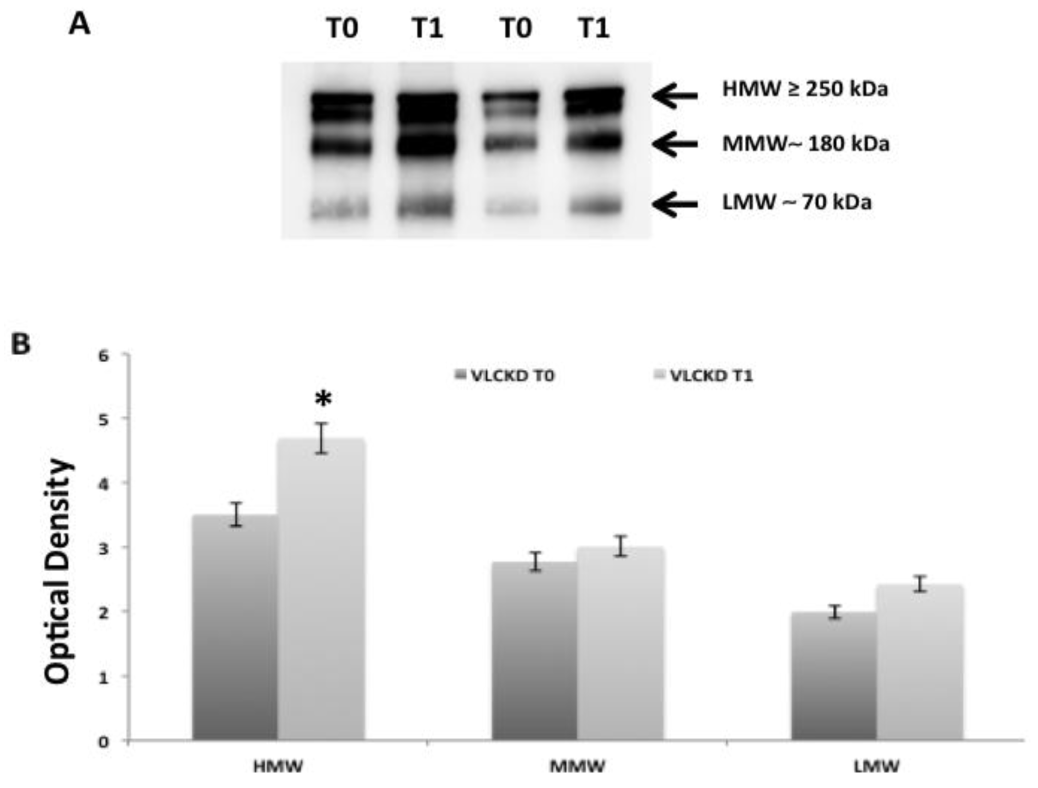 Ijms 21 03228 g004 Ijms 21 03228 g004