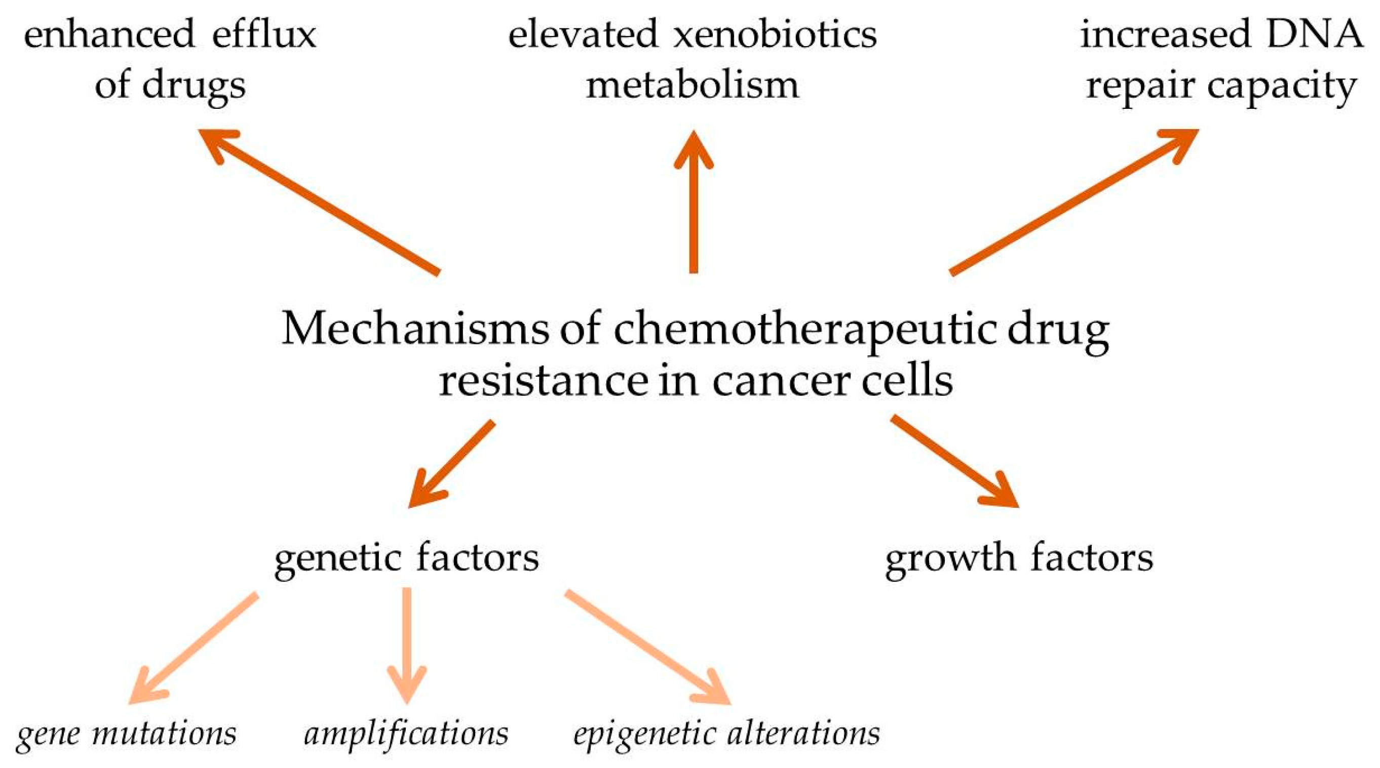 Ijms 21 03233 g002 Ijms 21 03233 g002