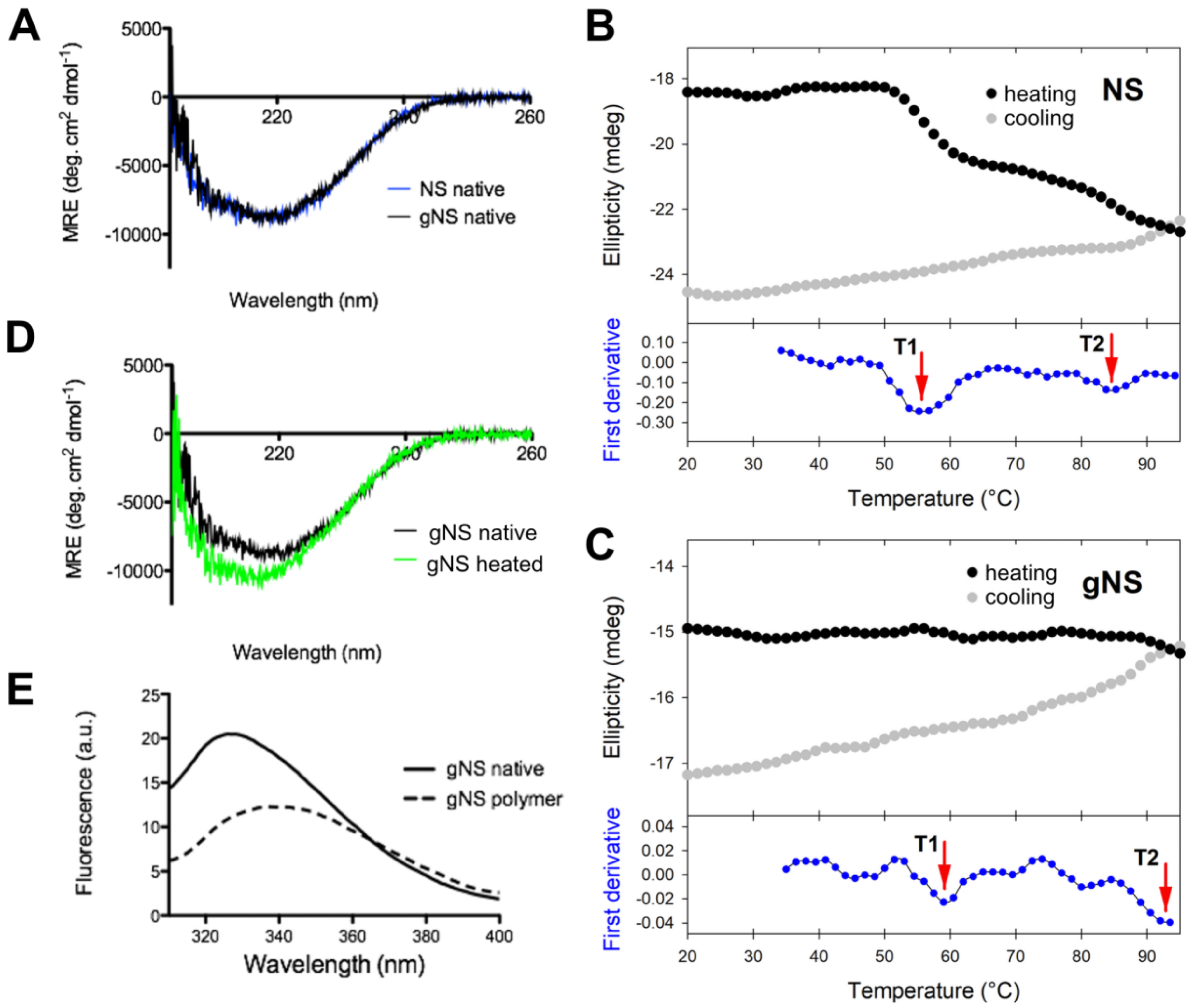 Ijms 21 03235 g004 Ijms 21 03235 g004