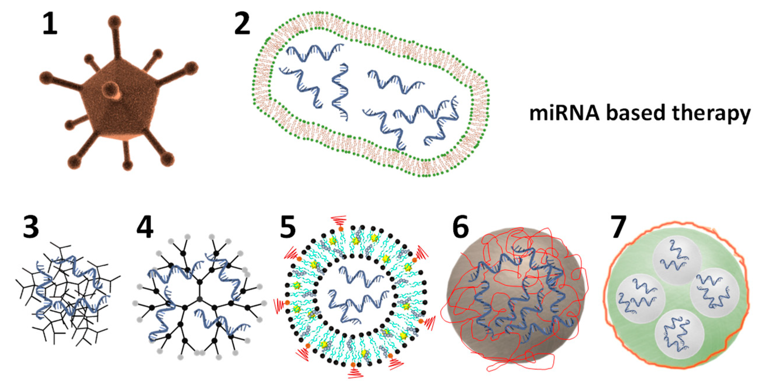 Ijms 21 03253 g003 Ijms 21 03253 g003