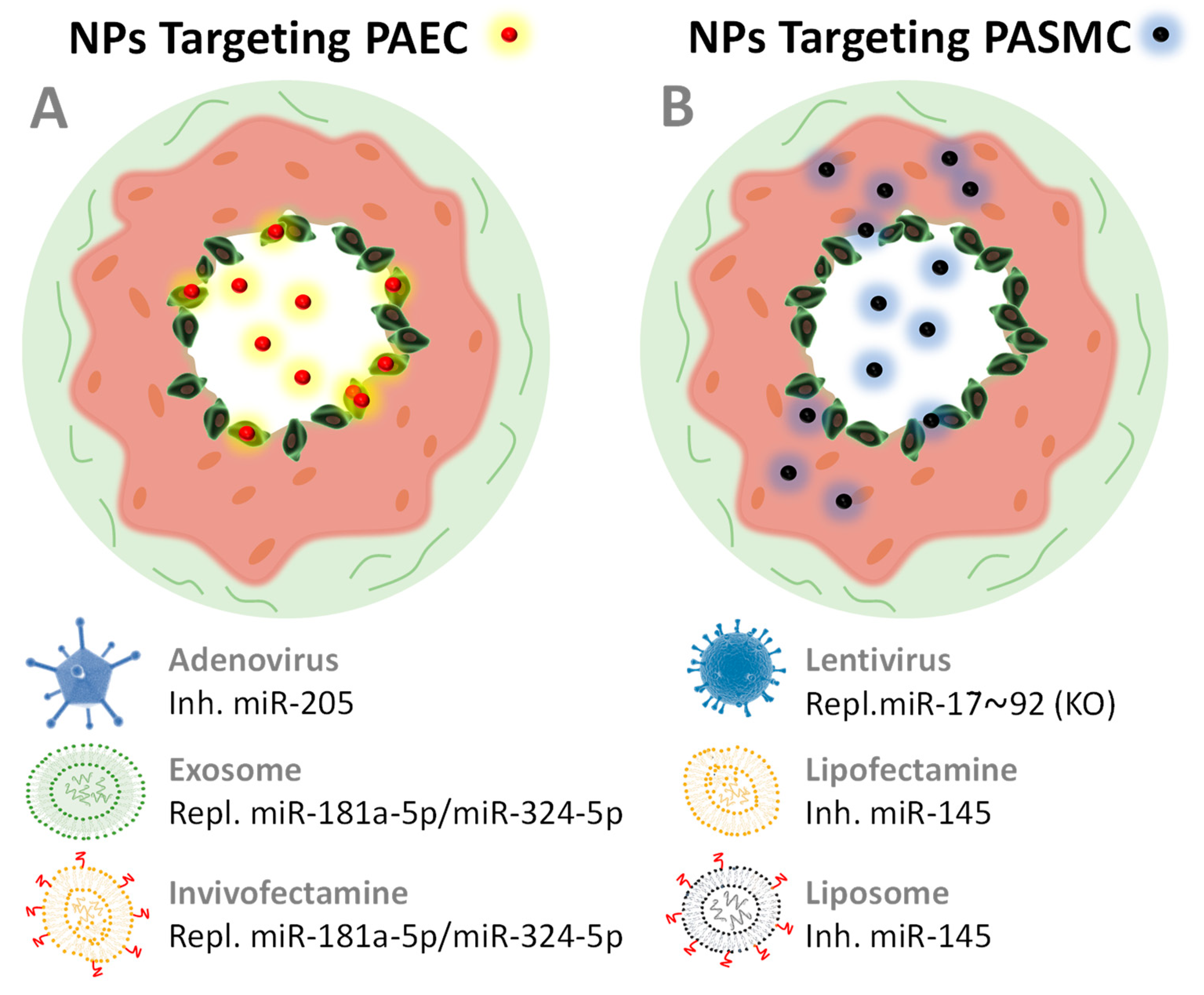 Ijms 21 03253 g005 Ijms 21 03253 g005