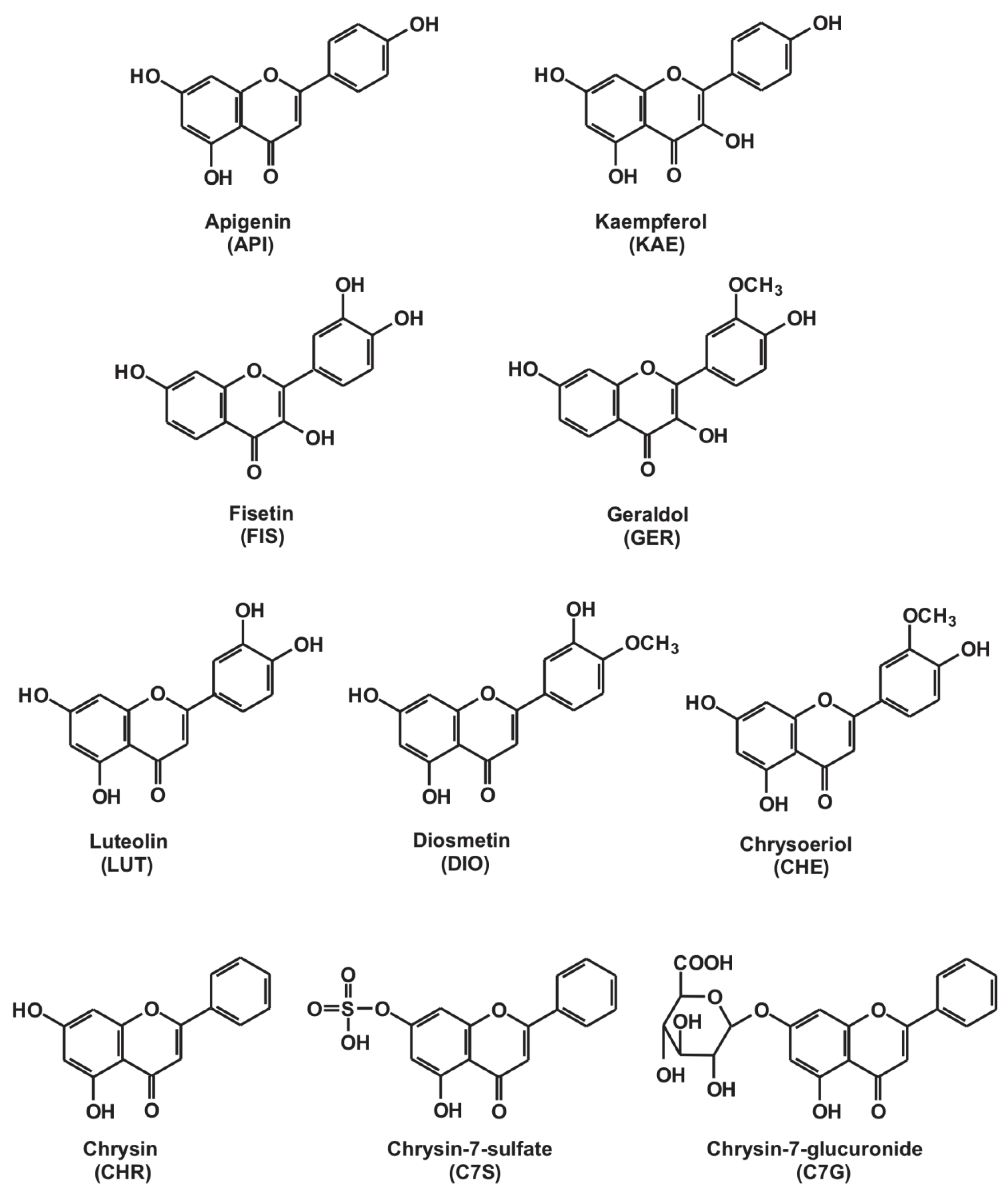 Ijms 21 03256 g002 Ijms 21 03256 g002