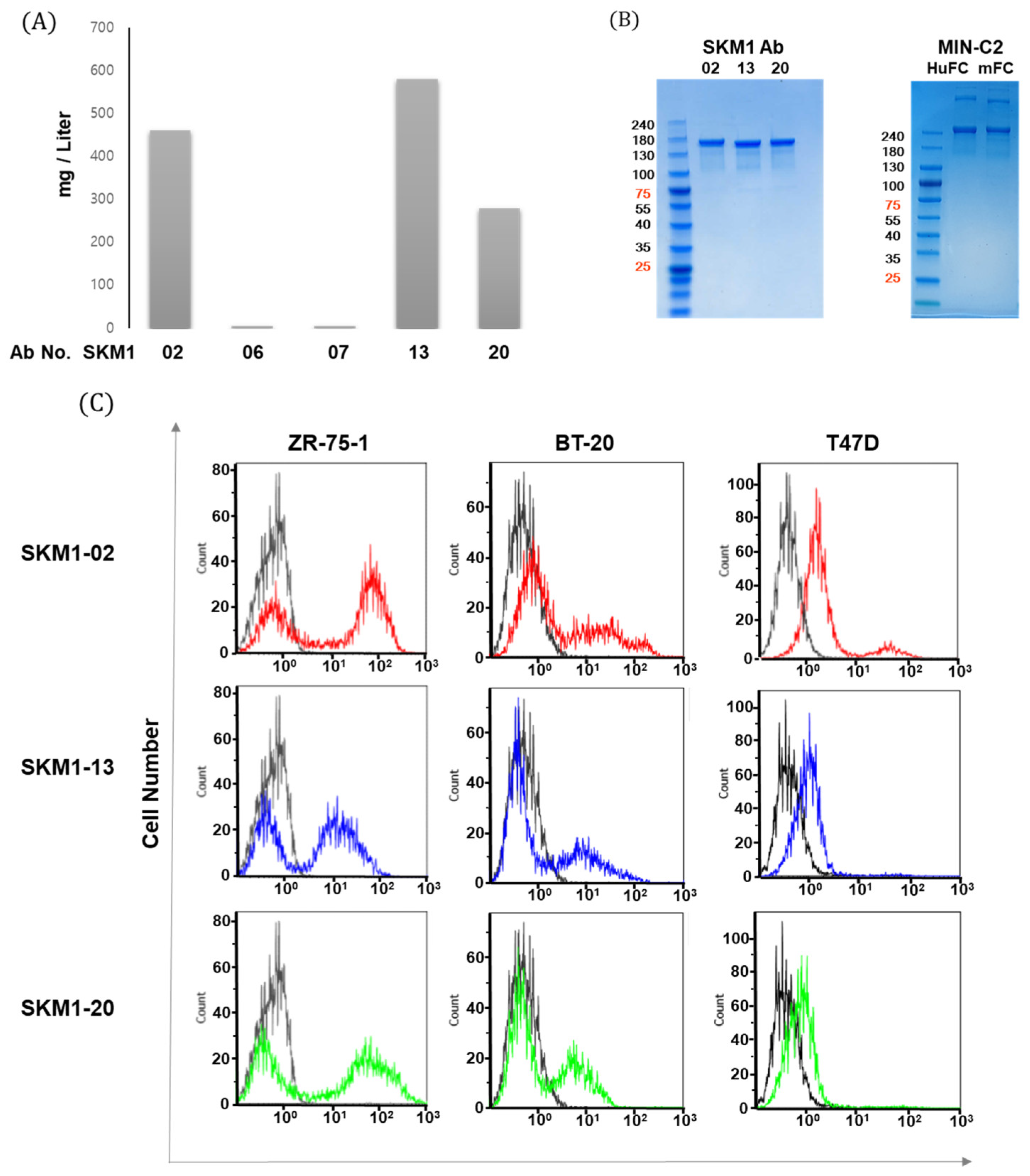 Ijms 21 03258 g003 Ijms 21 03258 g003
