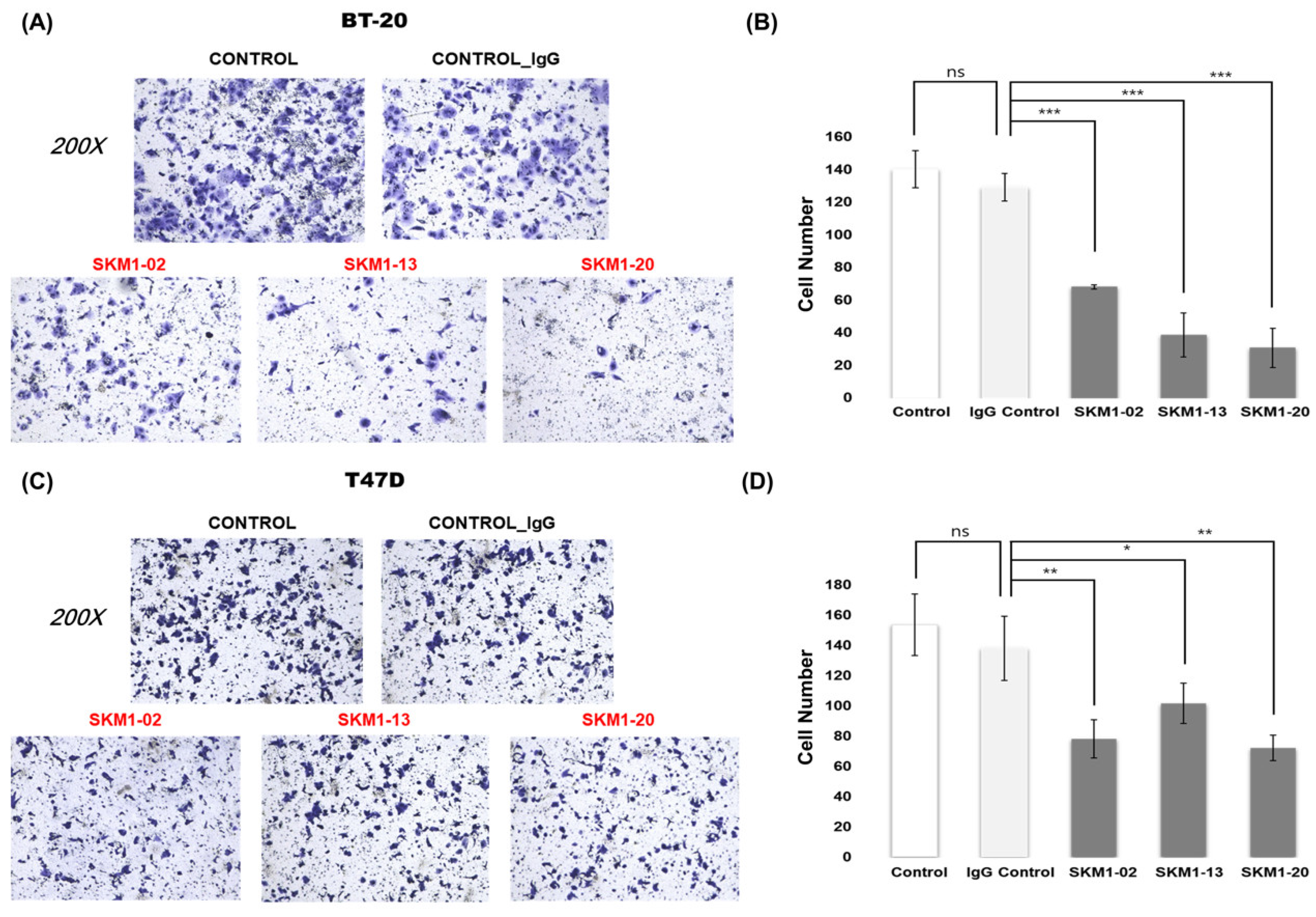 Ijms 21 03258 g006 Ijms 21 03258 g006