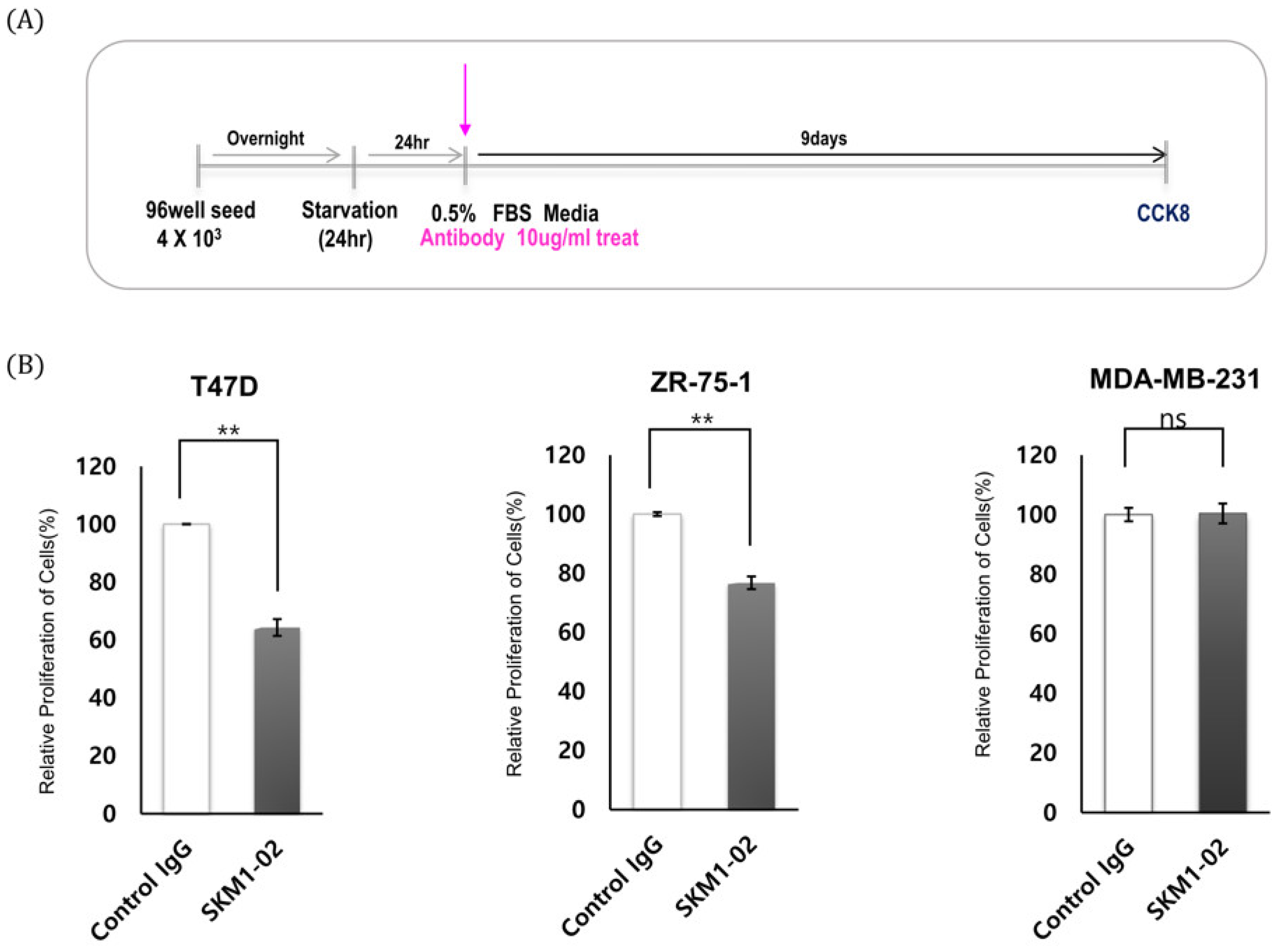 Ijms 21 03258 g007 Ijms 21 03258 g007