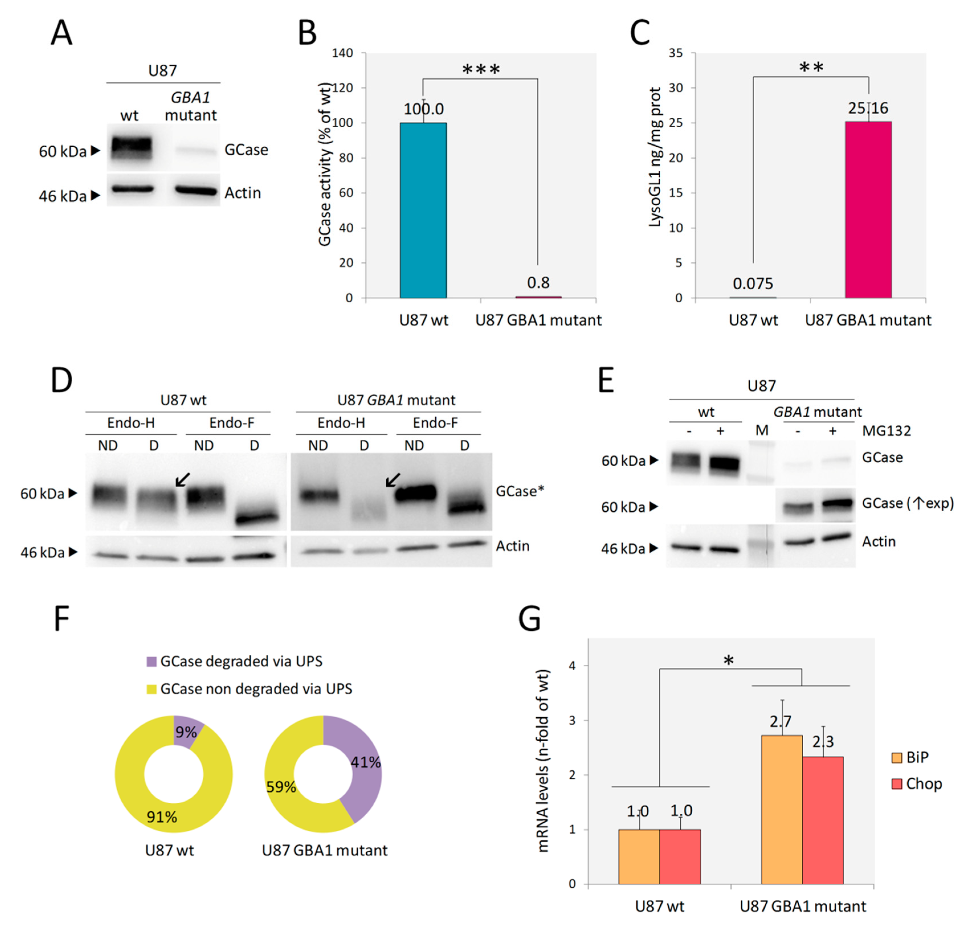 Ijms 21 03268 g002 Ijms 21 03268 g002