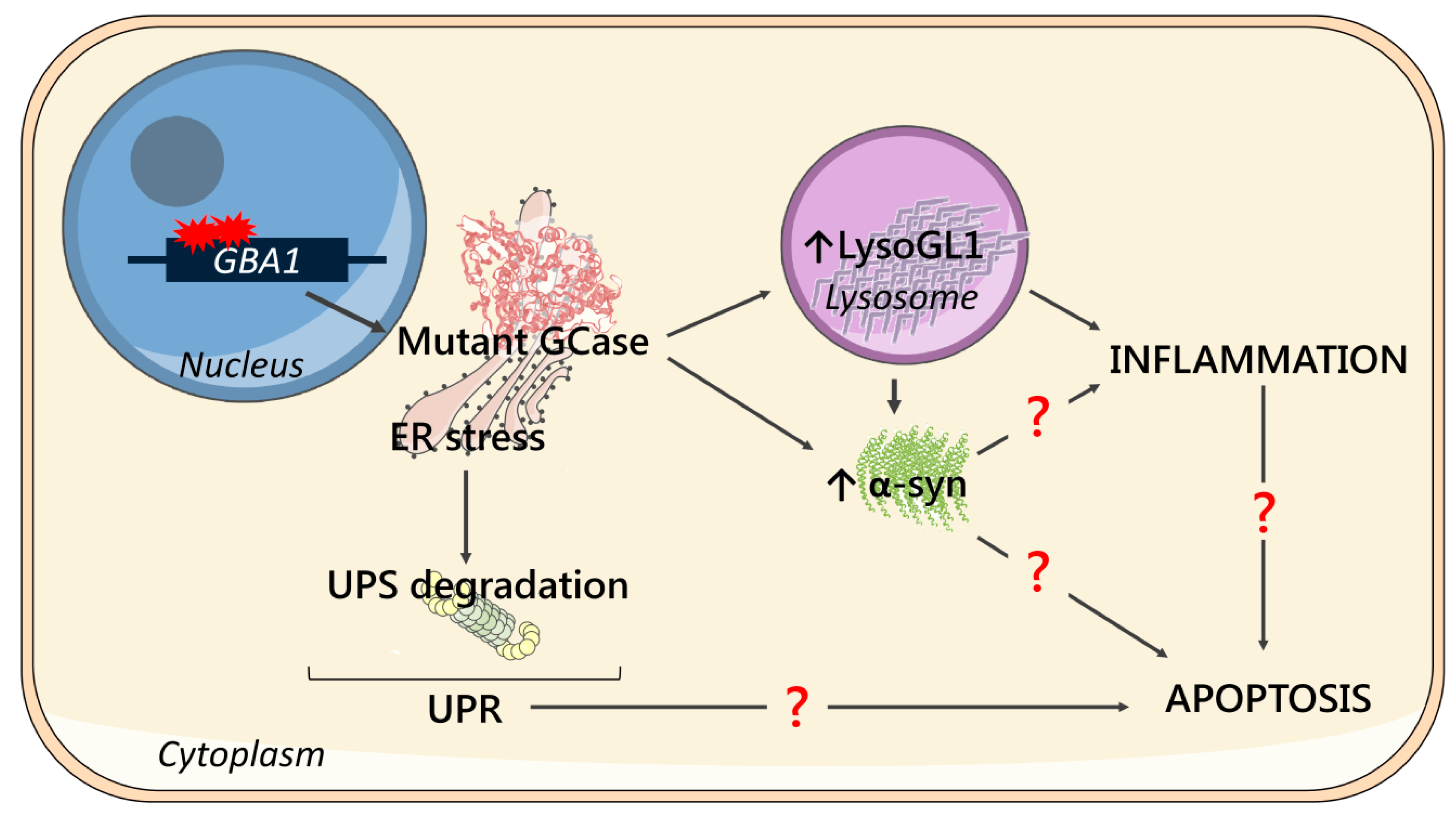 Ijms 21 03268 g005 Ijms 21 03268 g005