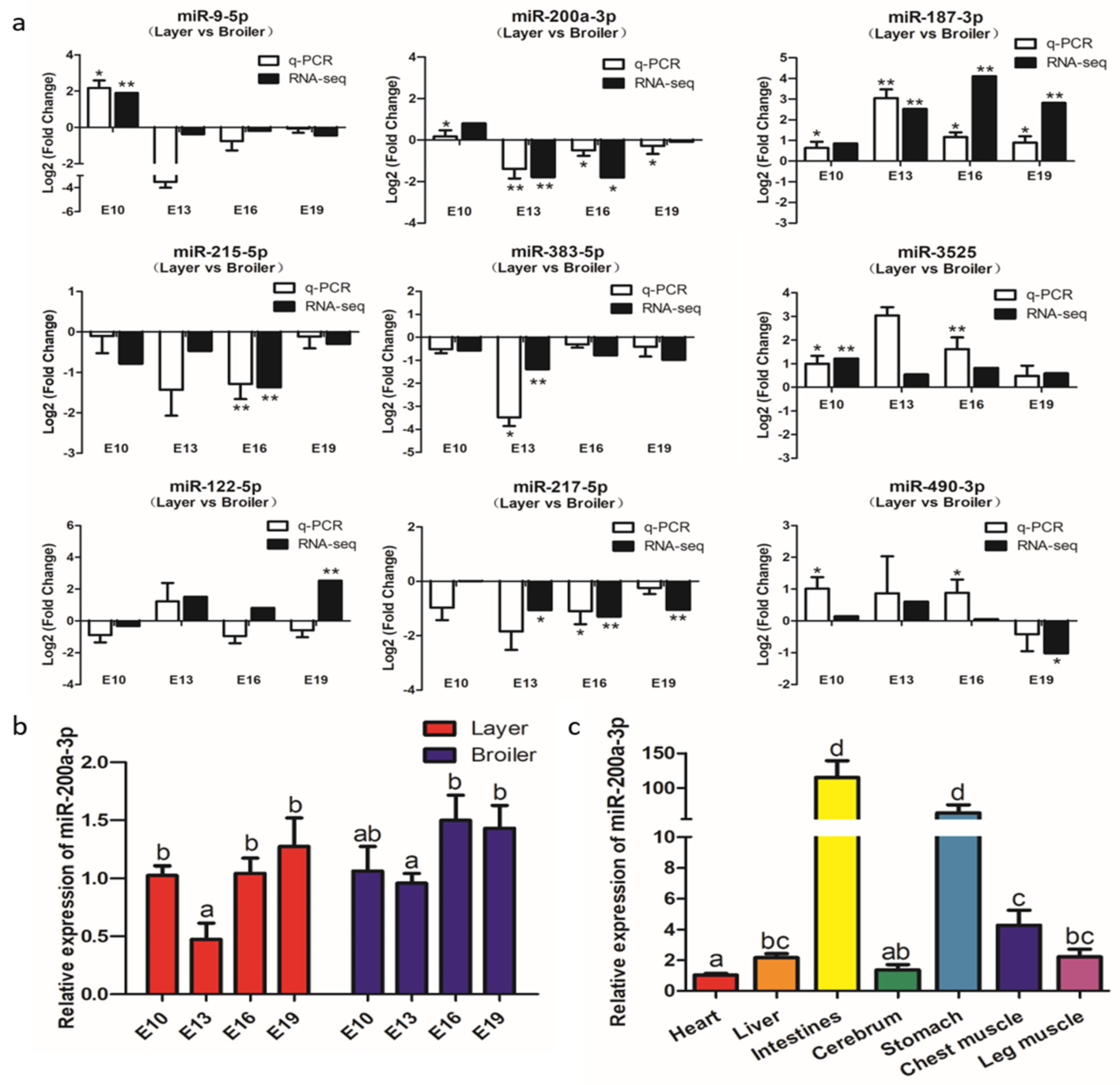 Ijms 21 03274 g004 Ijms 21 03274 g004