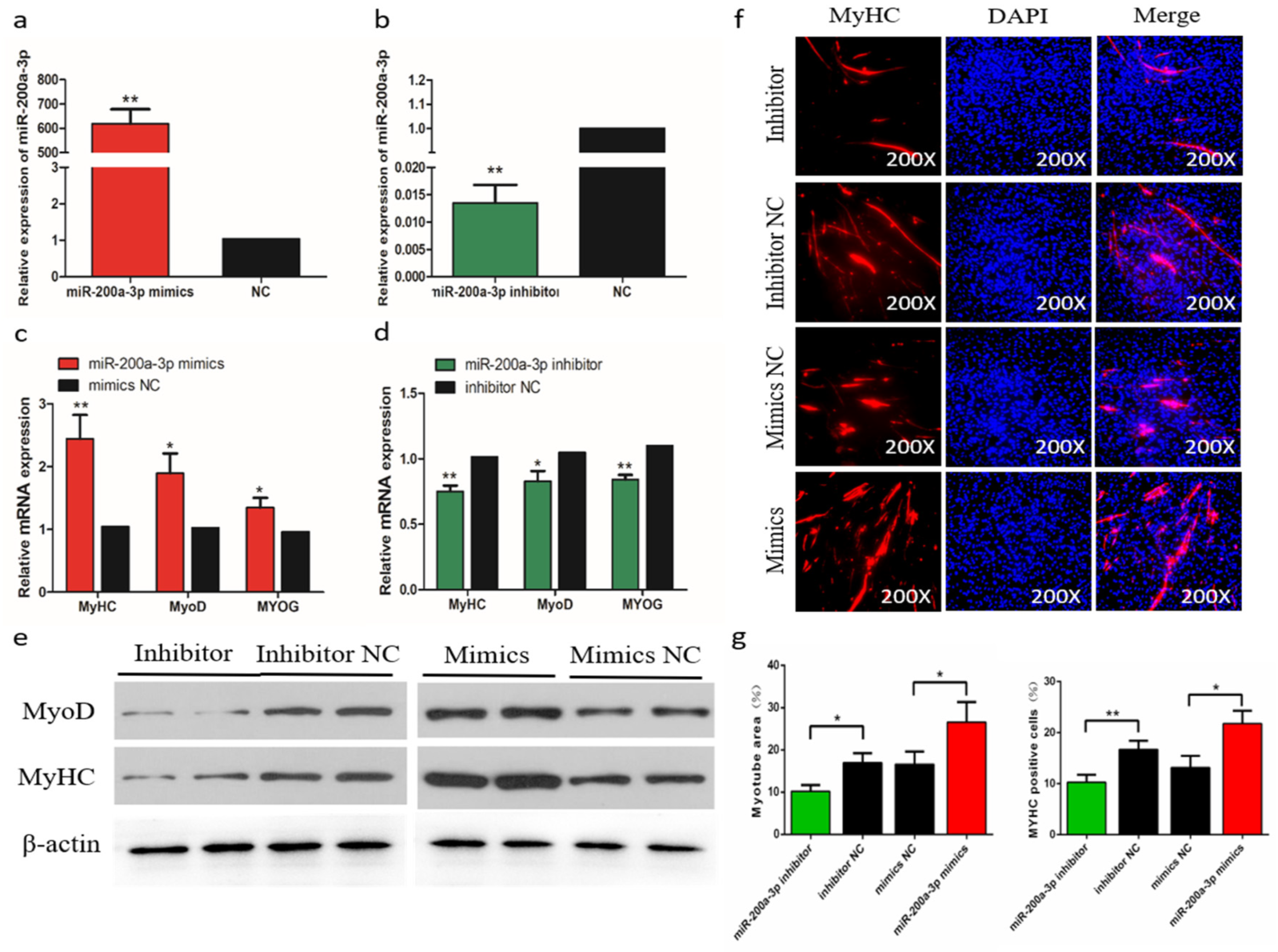 Ijms 21 03274 g005 Ijms 21 03274 g005