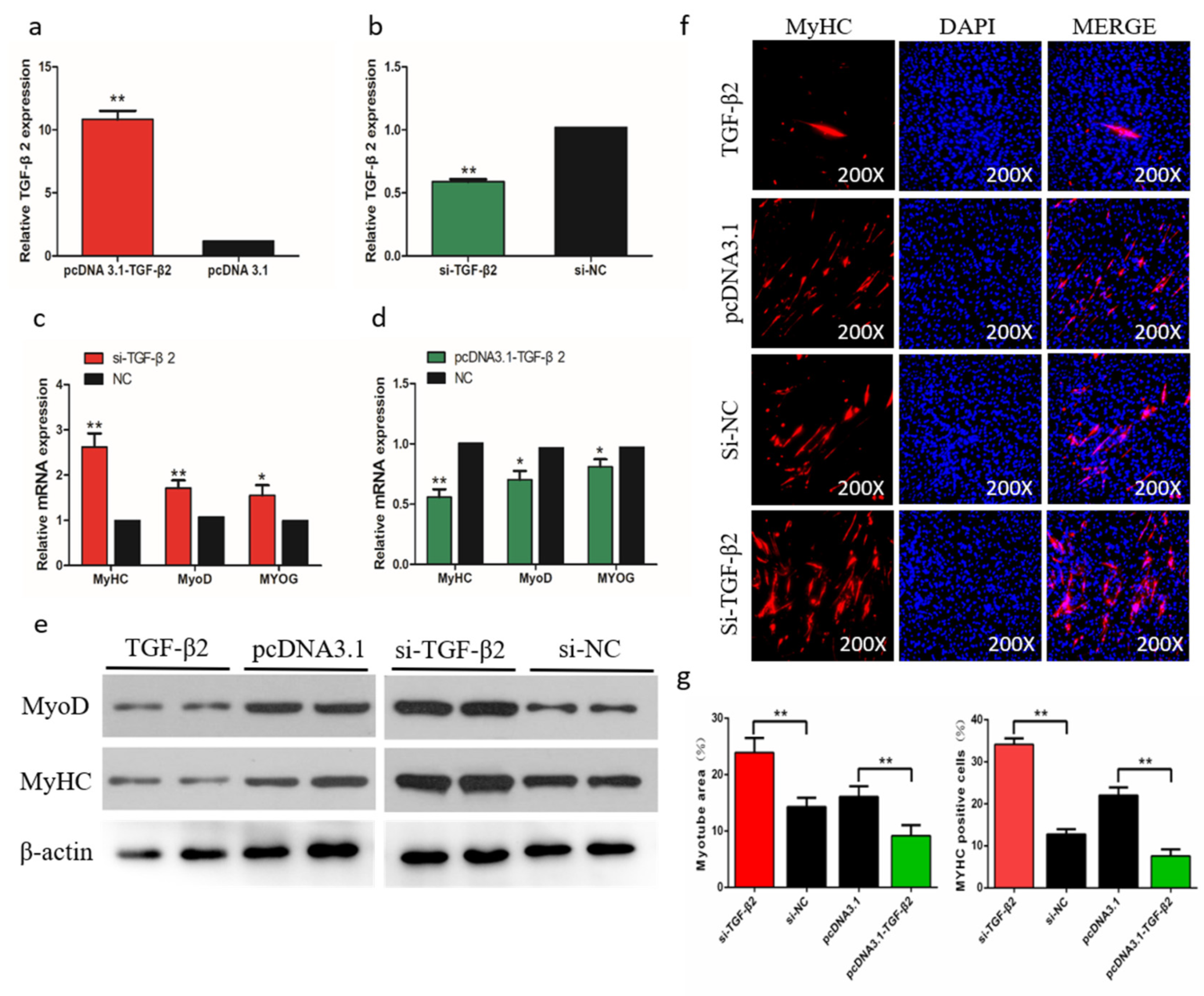 Ijms 21 03274 g008 Ijms 21 03274 g008
