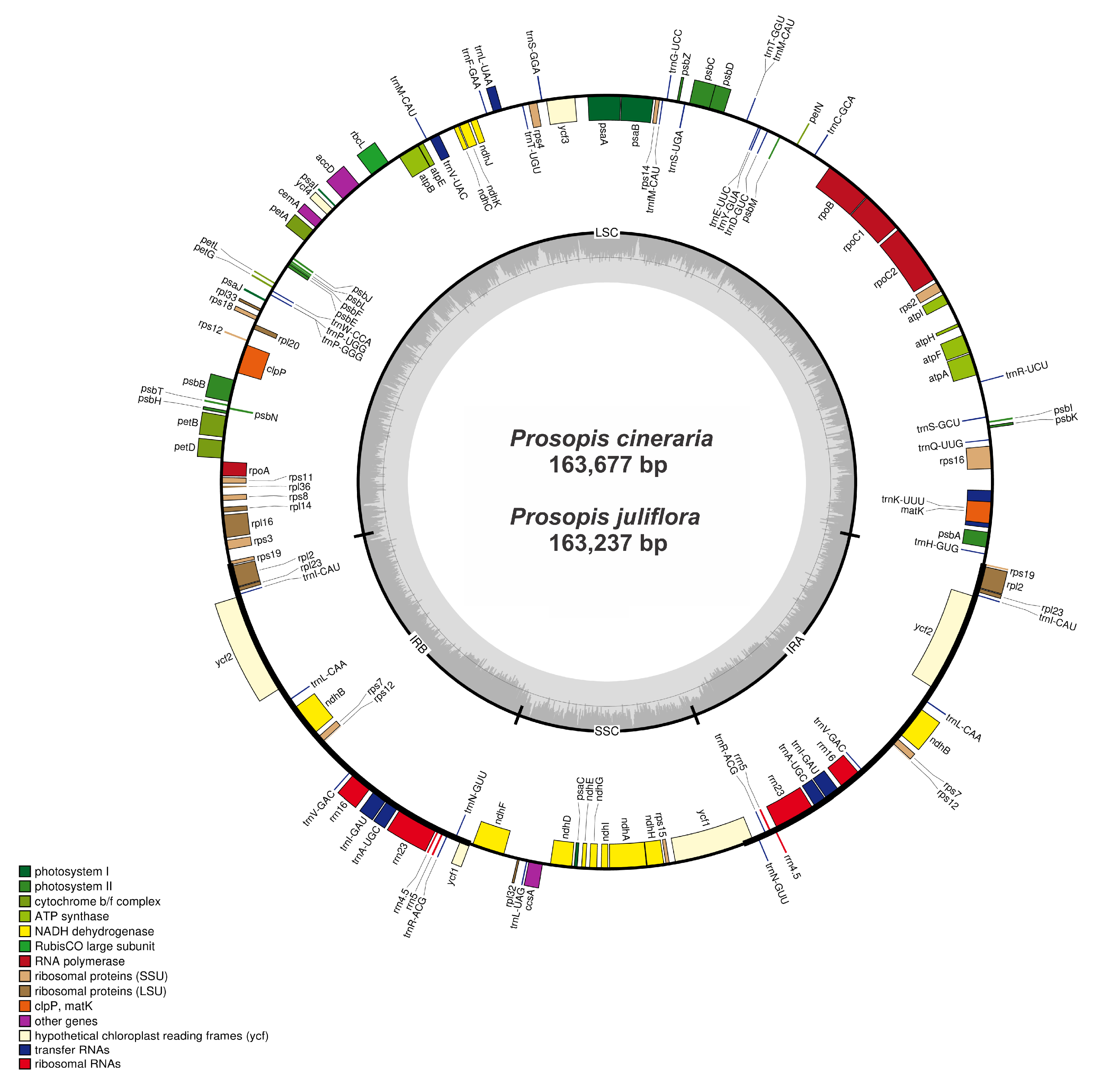 Ijms 21 03280 g001 Ijms 21 03280 g001