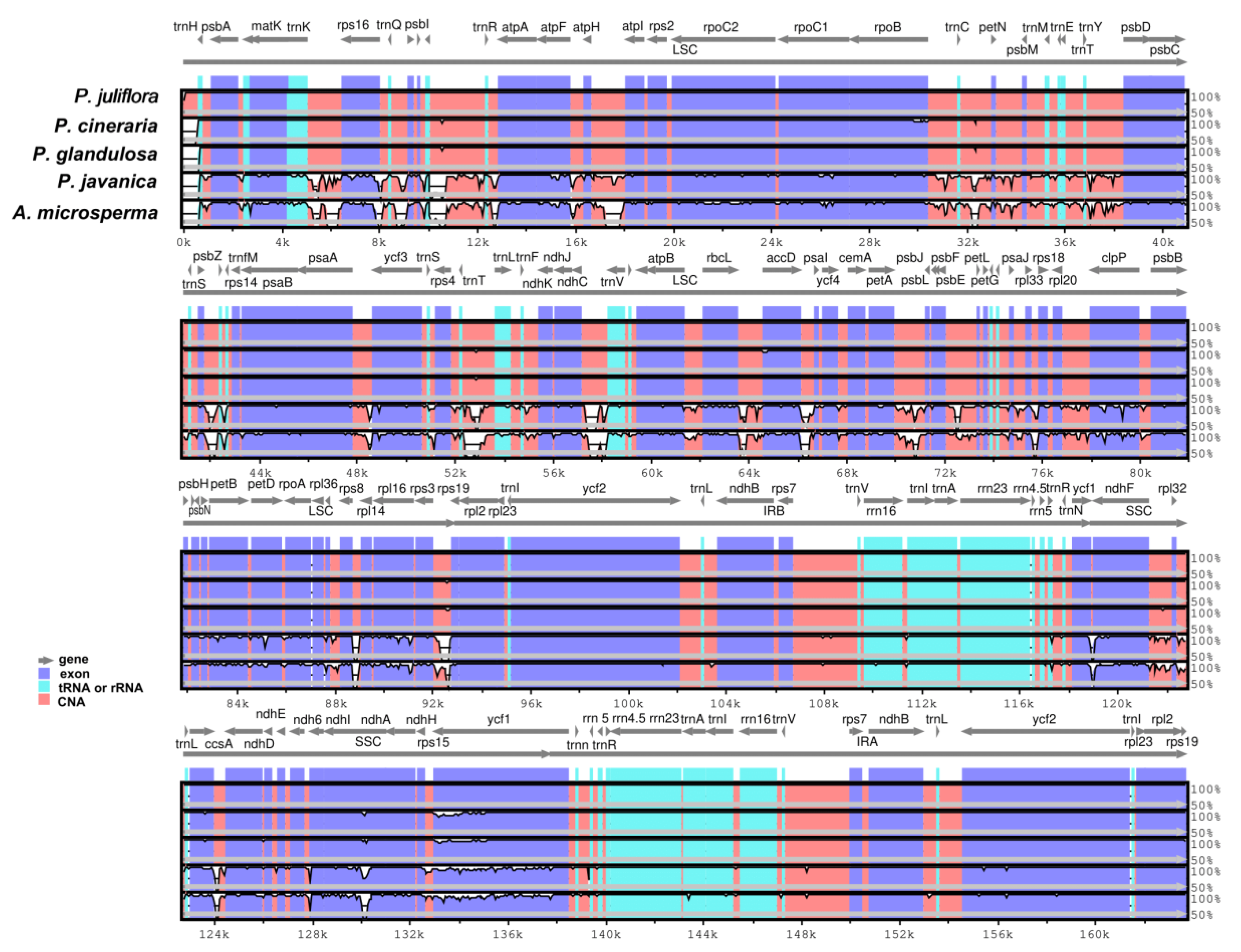 Ijms 21 03280 g004 Ijms 21 03280 g004