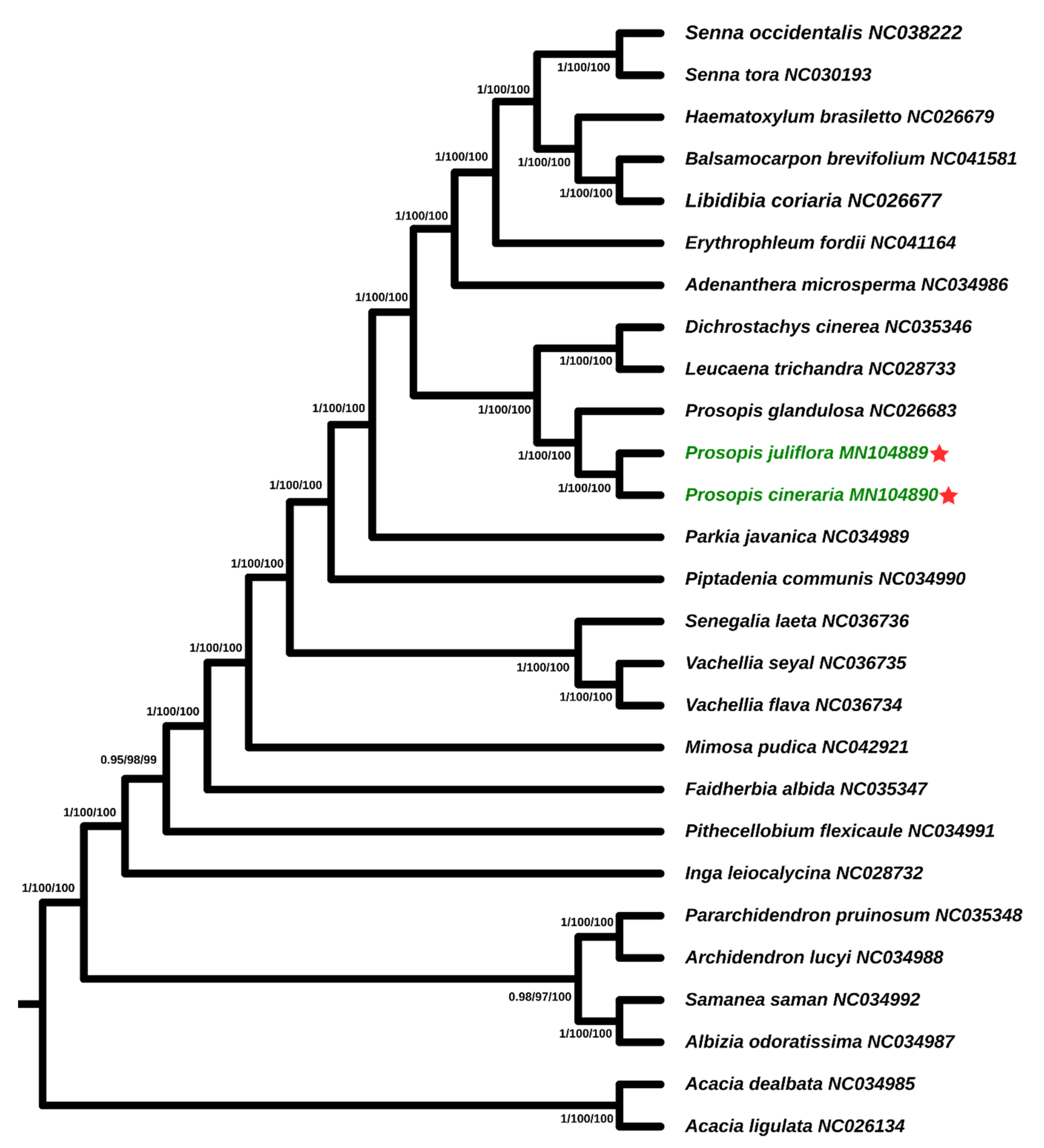 Ijms 21 03280 g007 Ijms 21 03280 g007